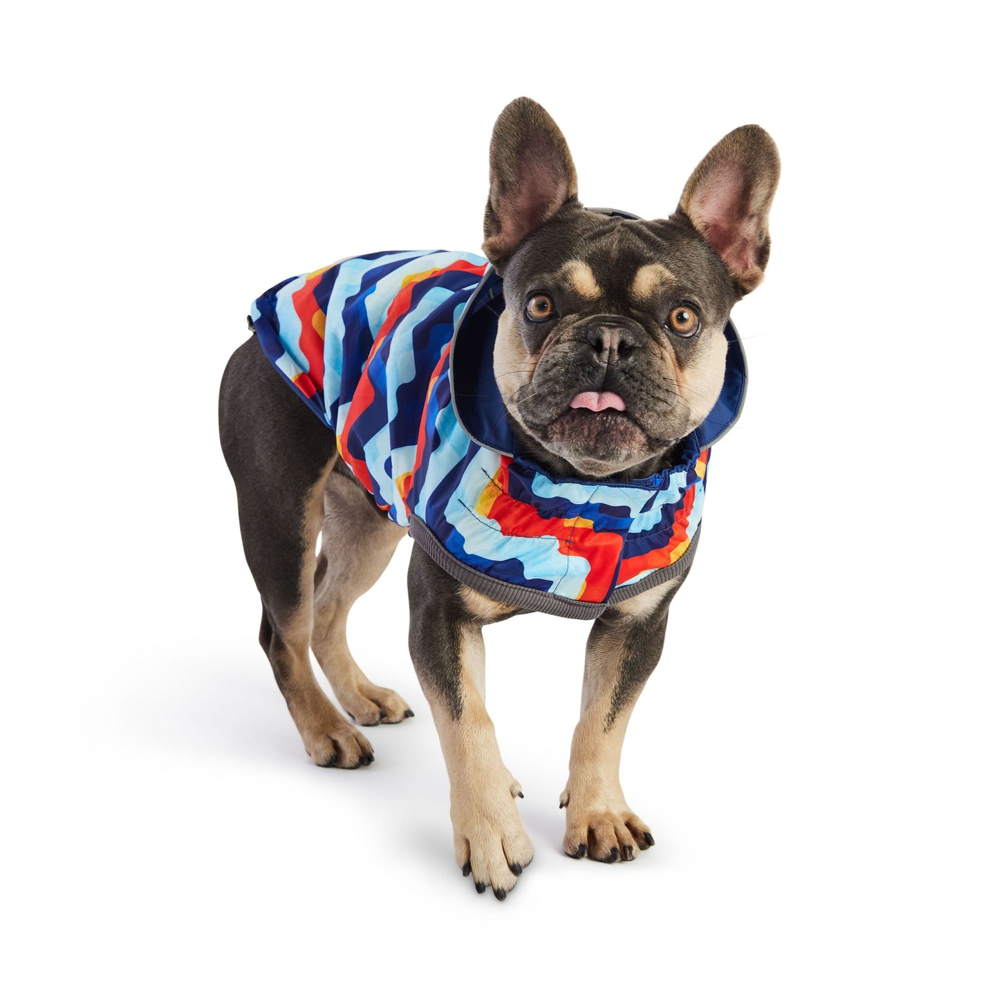 Reversible Elasto Fit Raincoat Navy Navy Dog Raincoats Pet - close up view