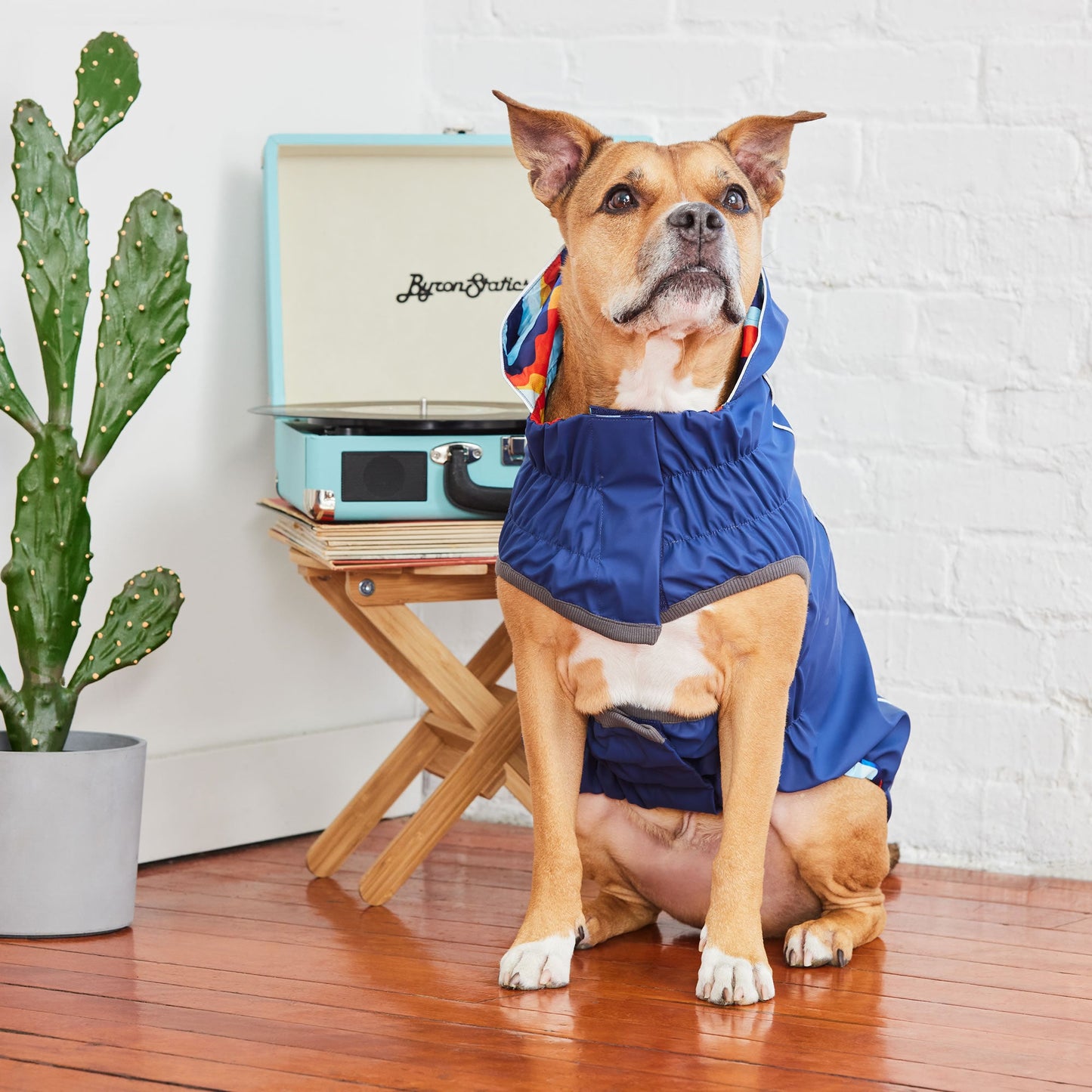 Reversible Elasto Fit Raincoat Navy Navy Dog Raincoats Pet - gallery image 6