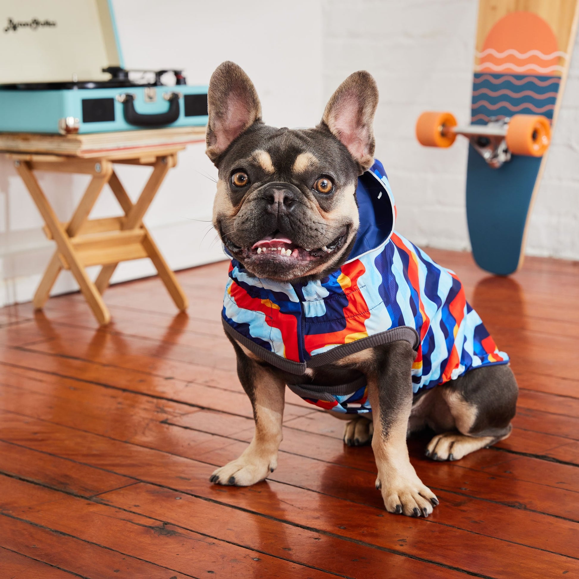 Reversible Elasto Fit Raincoat Navy Navy Dog Raincoats Pet - gallery image 5