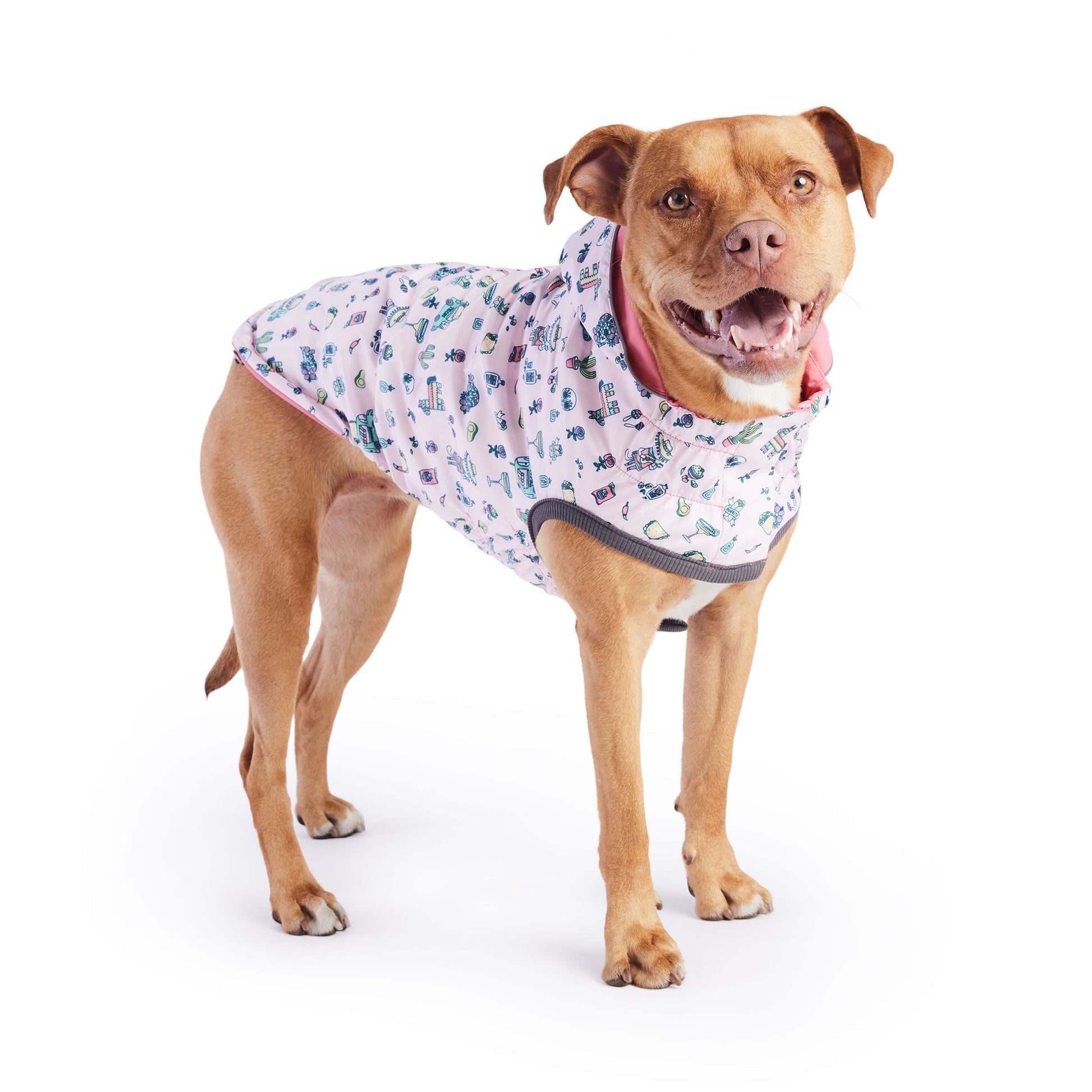 Reversible Elasto Fit Raincoat Pink Pink Dog Raincoats Pet - gallery image 5