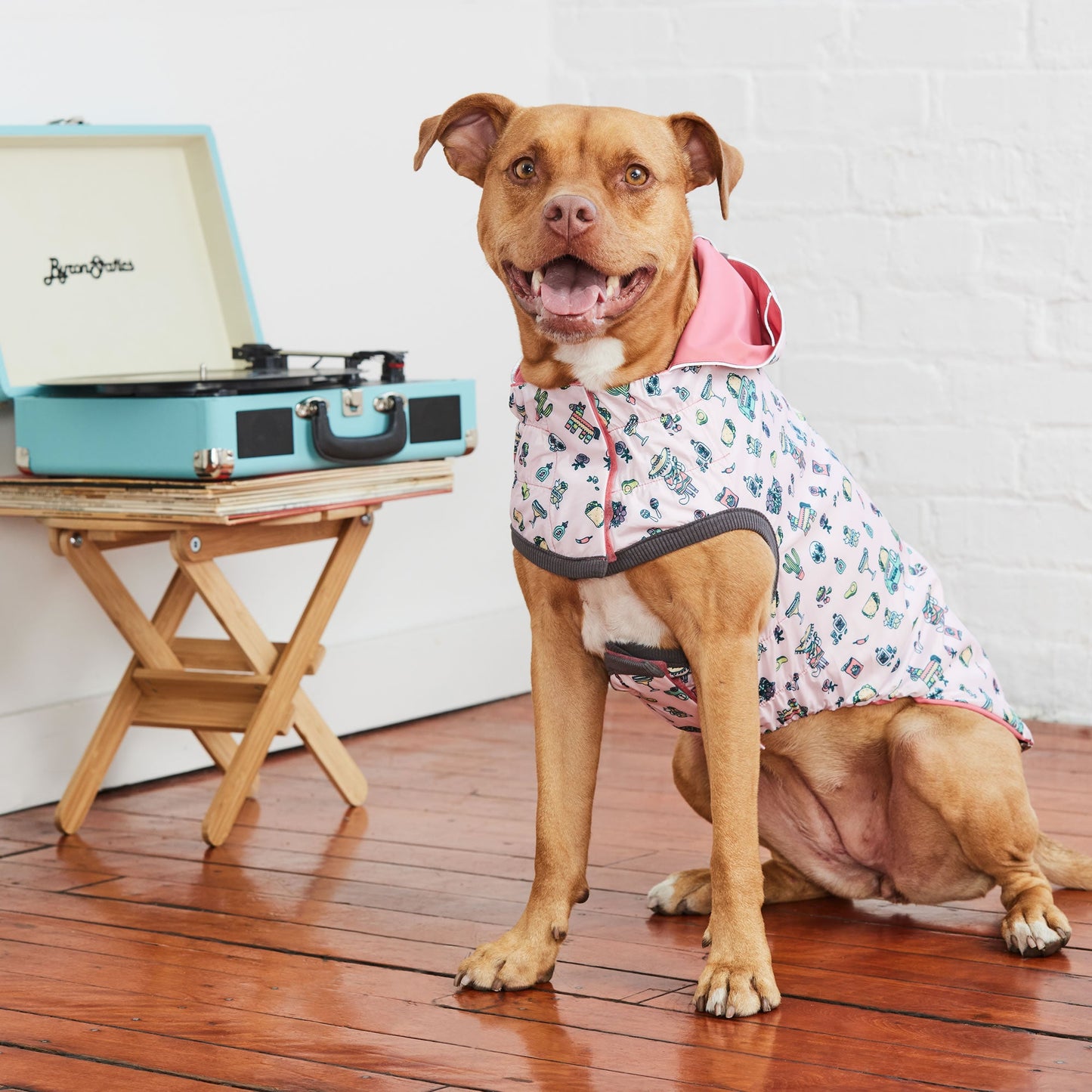 Reversible Elasto Fit Raincoat Pink Pink Dog Raincoats Pet - gallery image 7