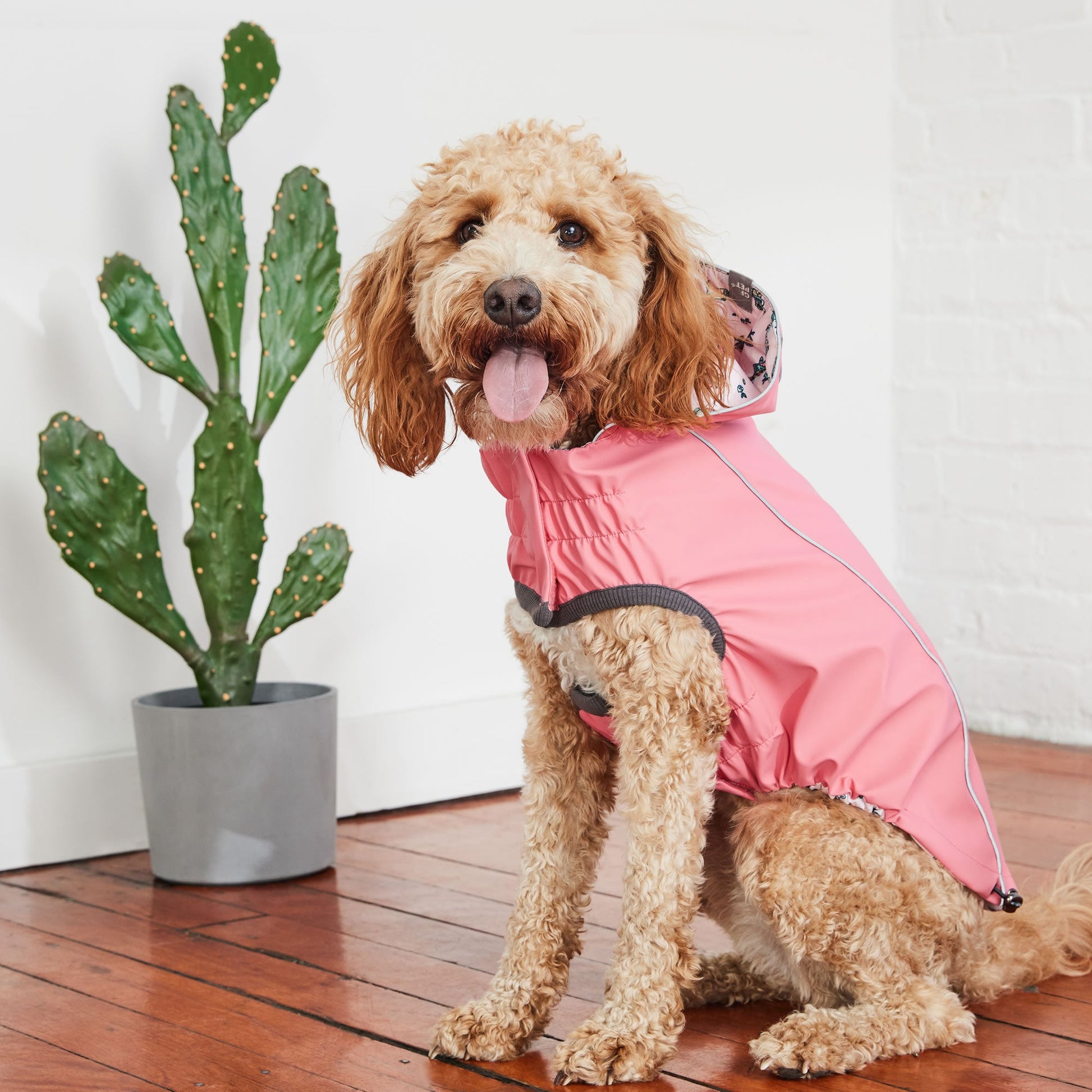 Reversible Elasto Fit Raincoat Pink Pink Dog Raincoats Pet - gallery image 6
