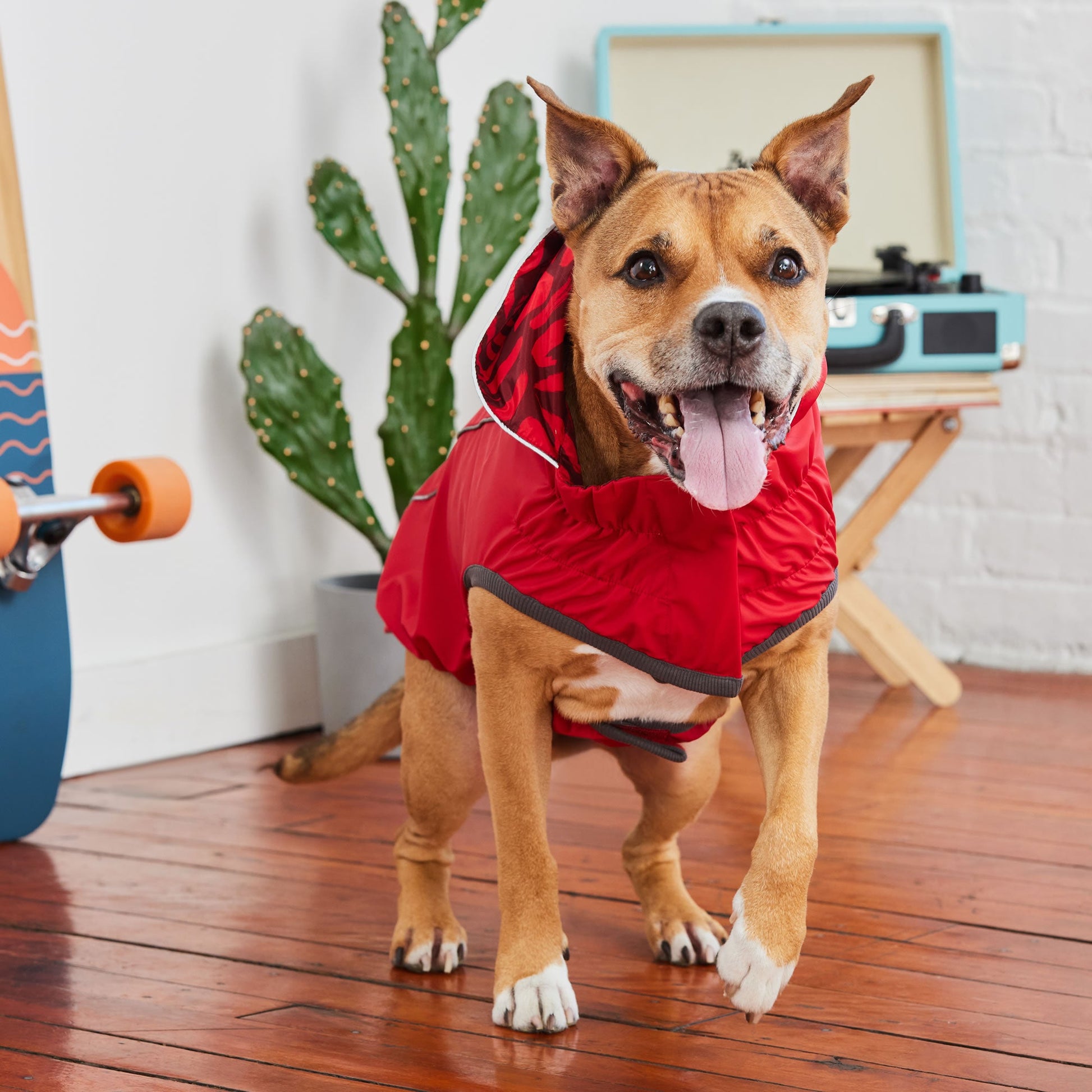 Reversible Elasto Fit Raincoat Red Red Dog Raincoats Premium - gallery image 8