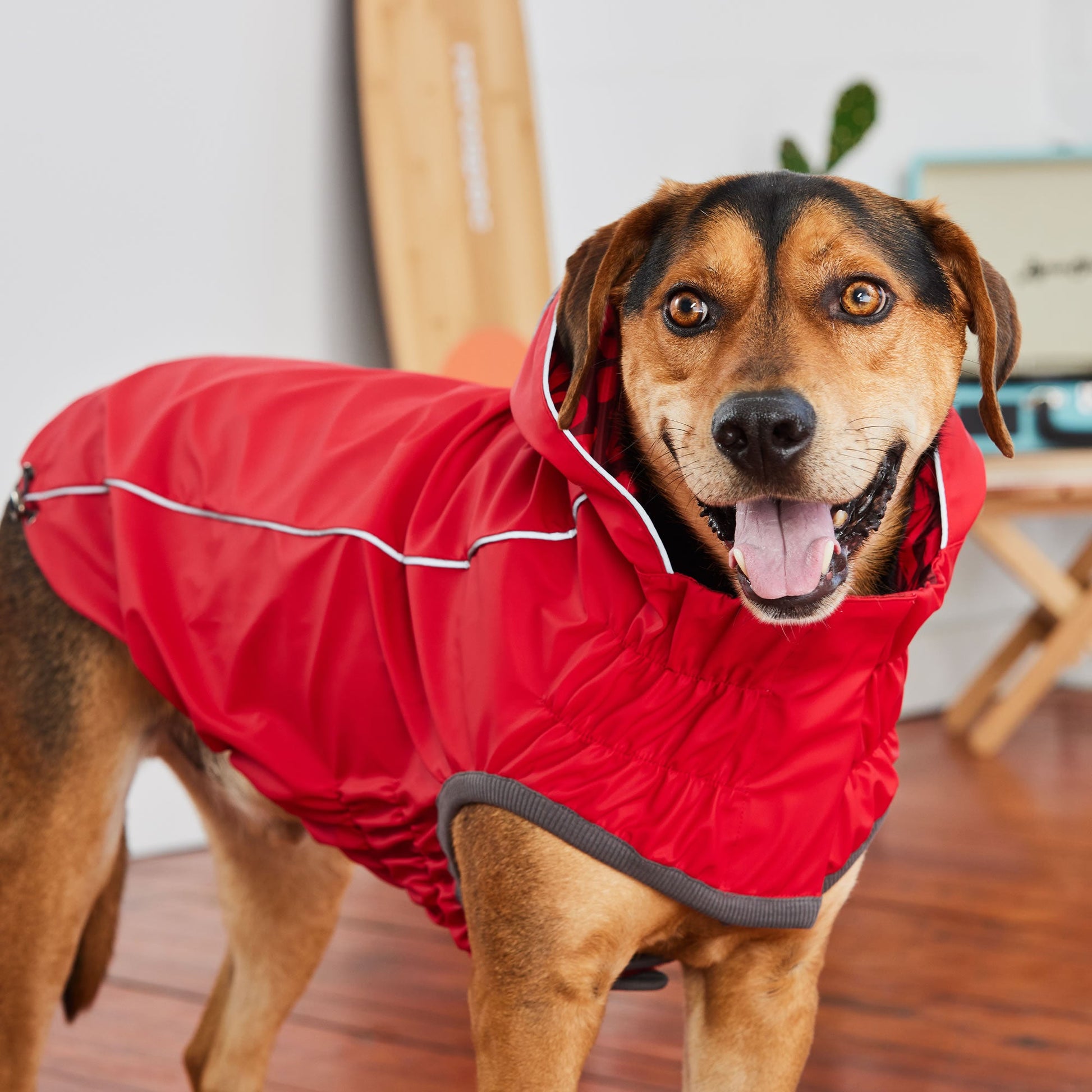 Reversible Elasto Fit Raincoat Red Red Dog Raincoats Premium - gallery image 6
