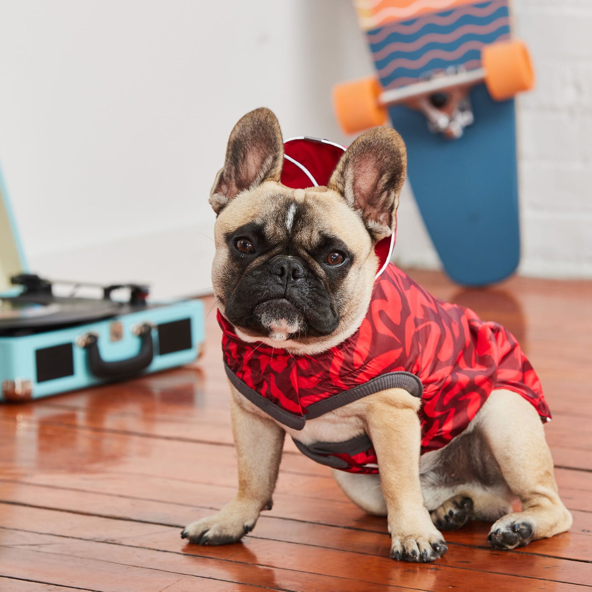 Reversible Elasto Fit Raincoat Red Red Dog Raincoats Premium - gallery image 5