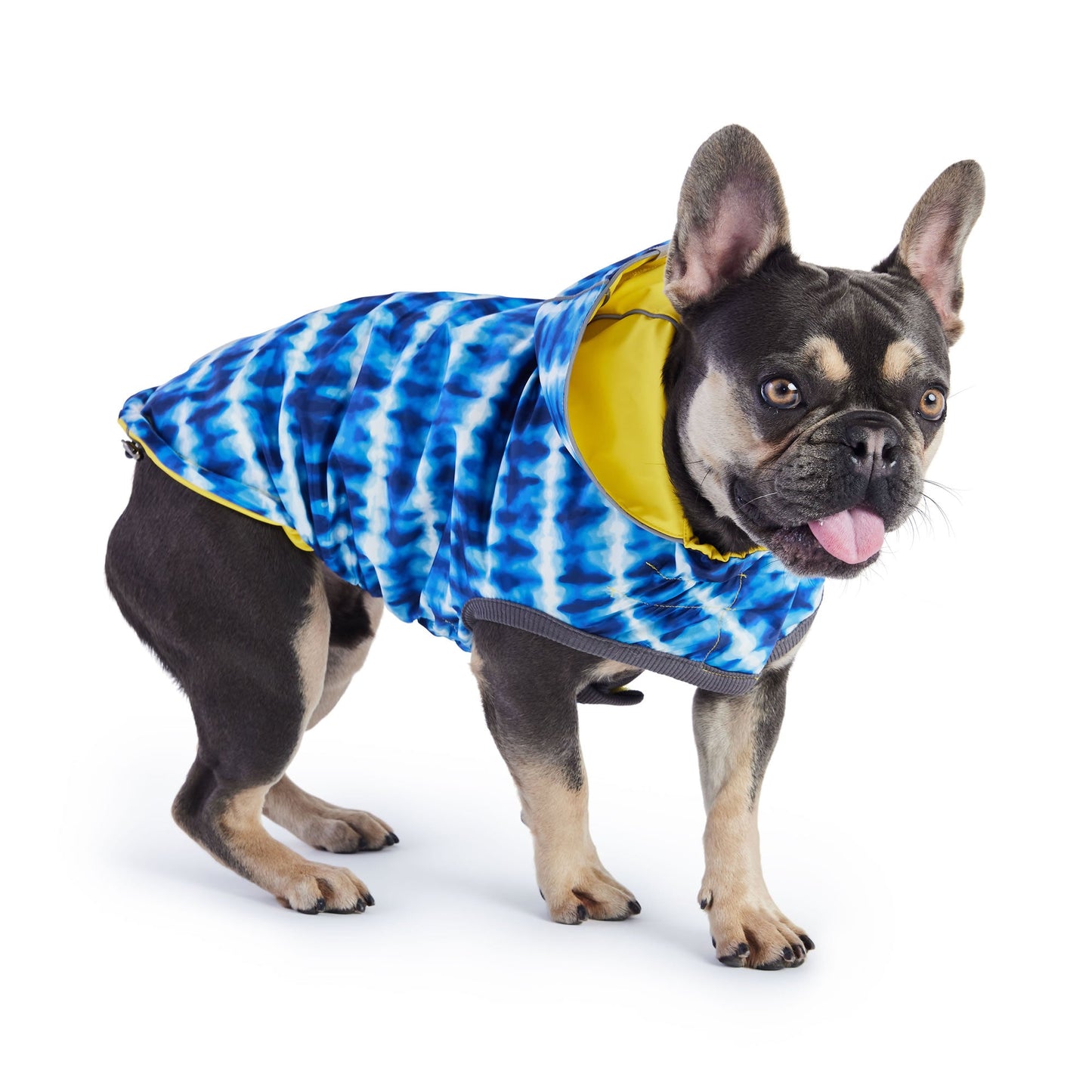 Reversible Elasto Fit Raincoat Yellow Blue Dog Raincoats Pet - close up view