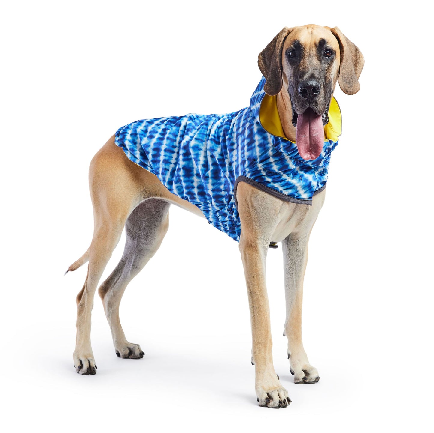 Reversible Elasto Fit Raincoat Yellow Blue Dog Raincoats Pet - gallery image 7
