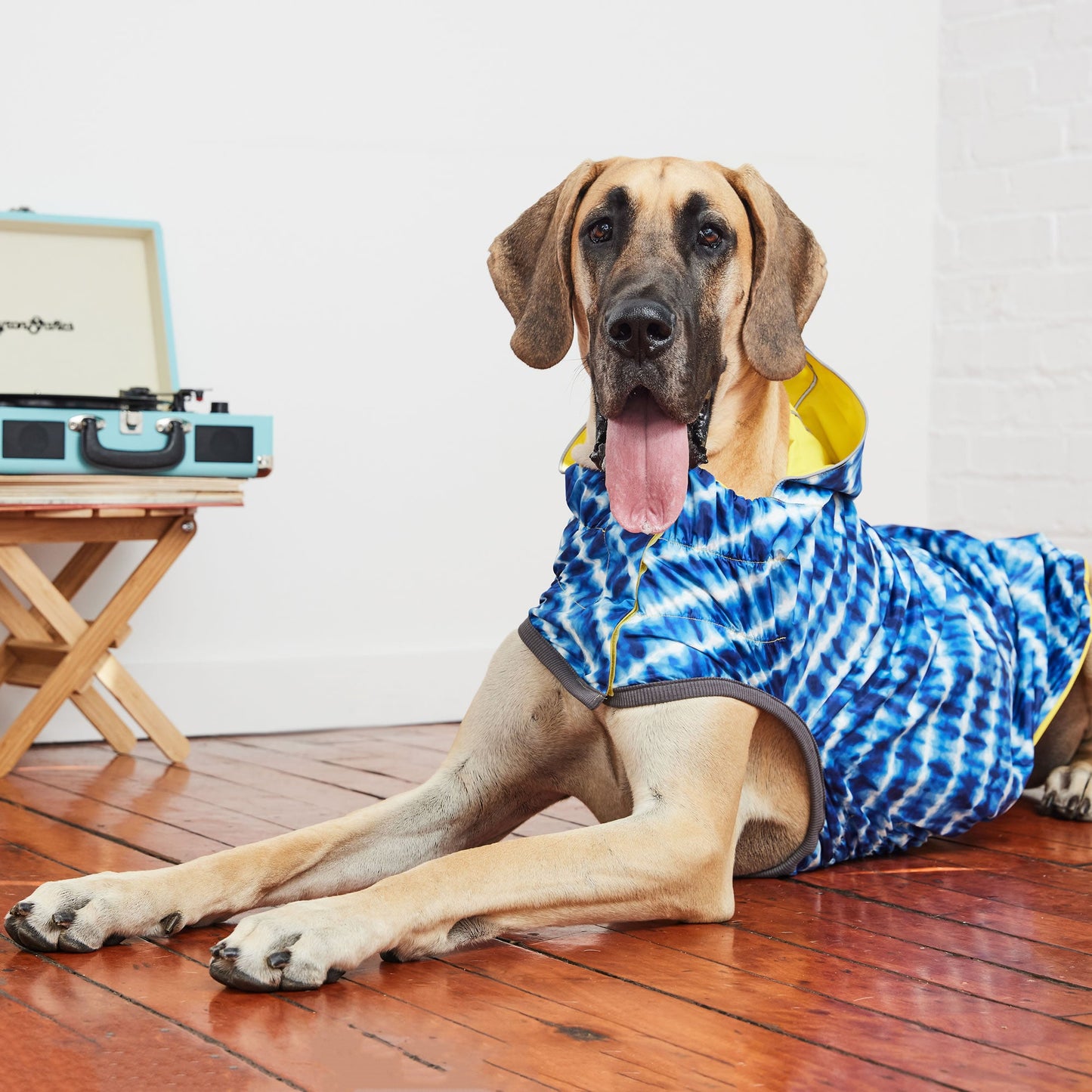 Reversible Elasto Fit Raincoat Yellow Blue Dog Raincoats Pet - gallery image 6