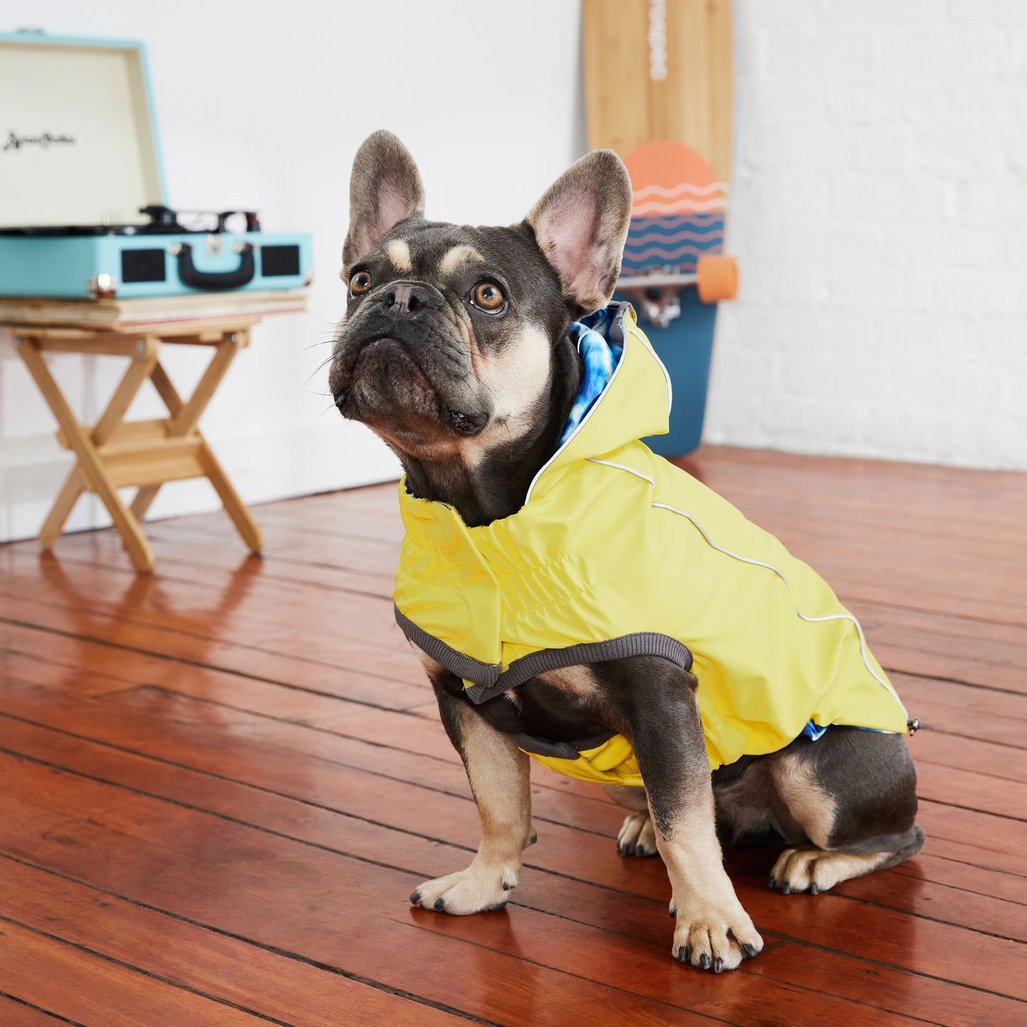 Reversible Elasto Fit Raincoat Yellow Blue Dog Raincoats Pet - gallery image 5