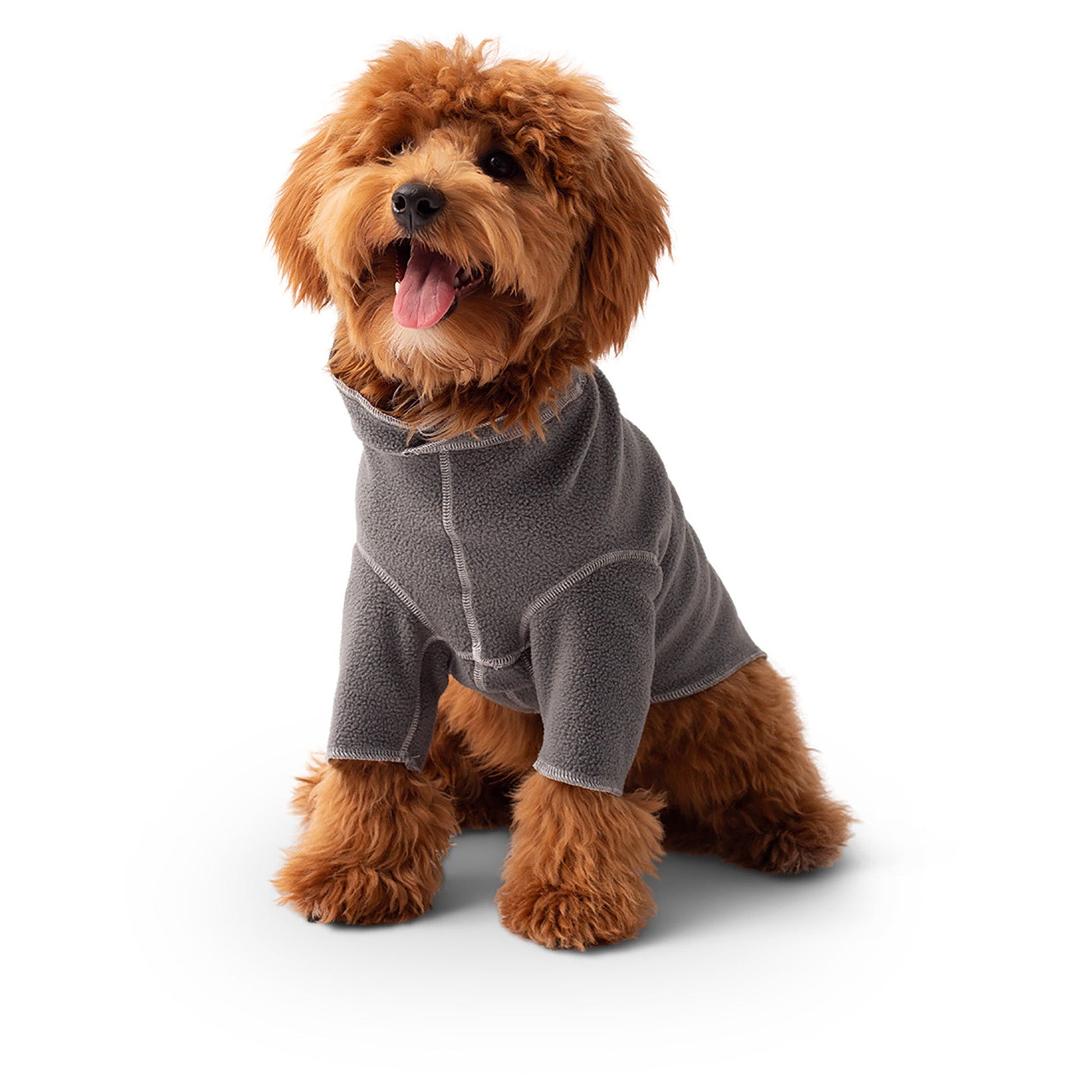 Gondola Base Layer Charcoal Dog Apparel Premium Pet Supply - main product image