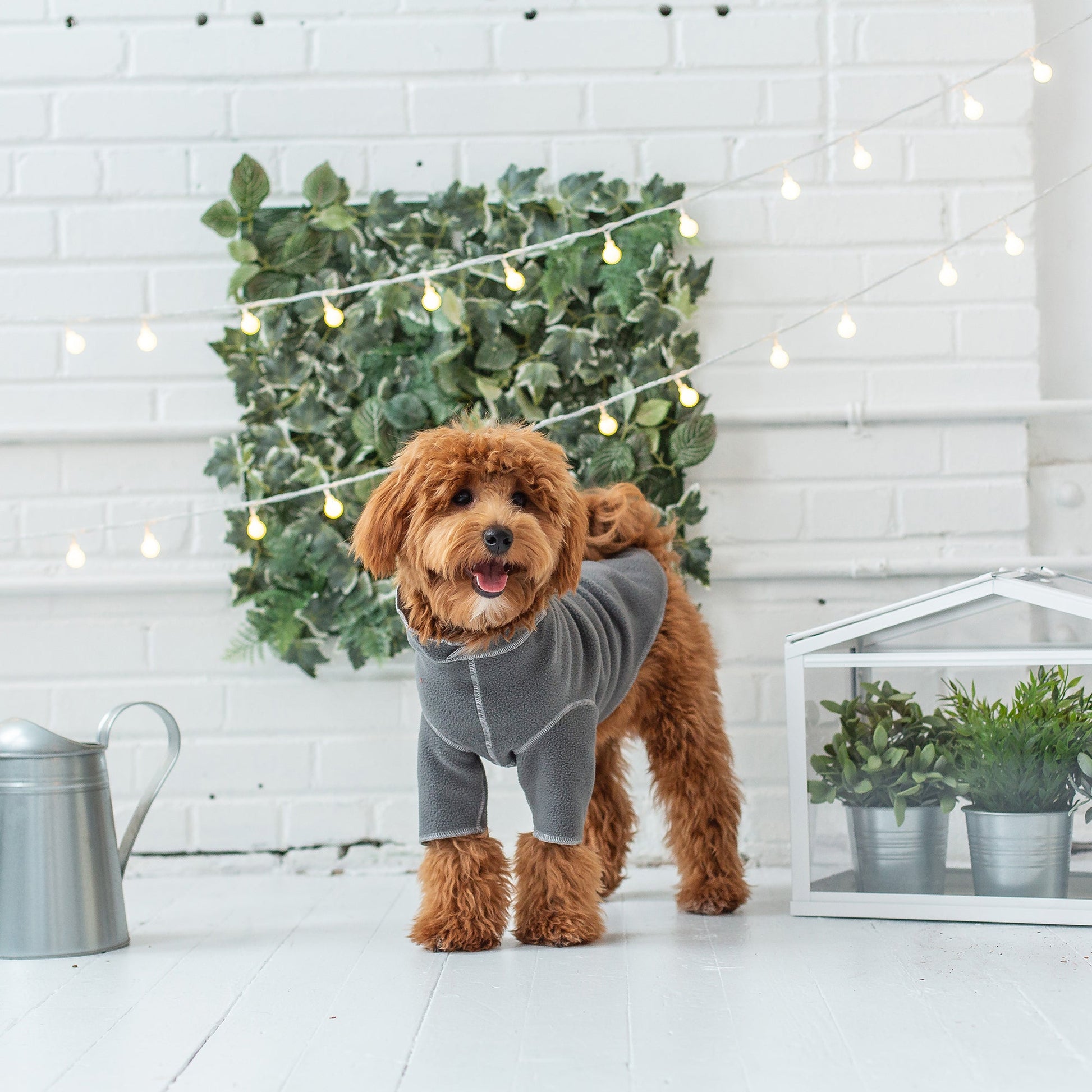 Gondola Base Layer Charcoal Dog Apparel Premium Pet Supply - close up view