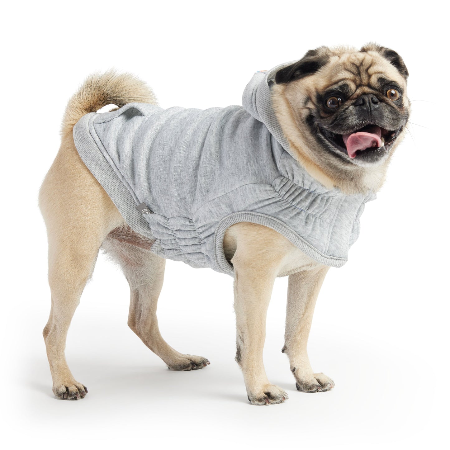 Urban Hoodie Heather Grey Dog Hoodies Premium Pet Supply - lifestyle view