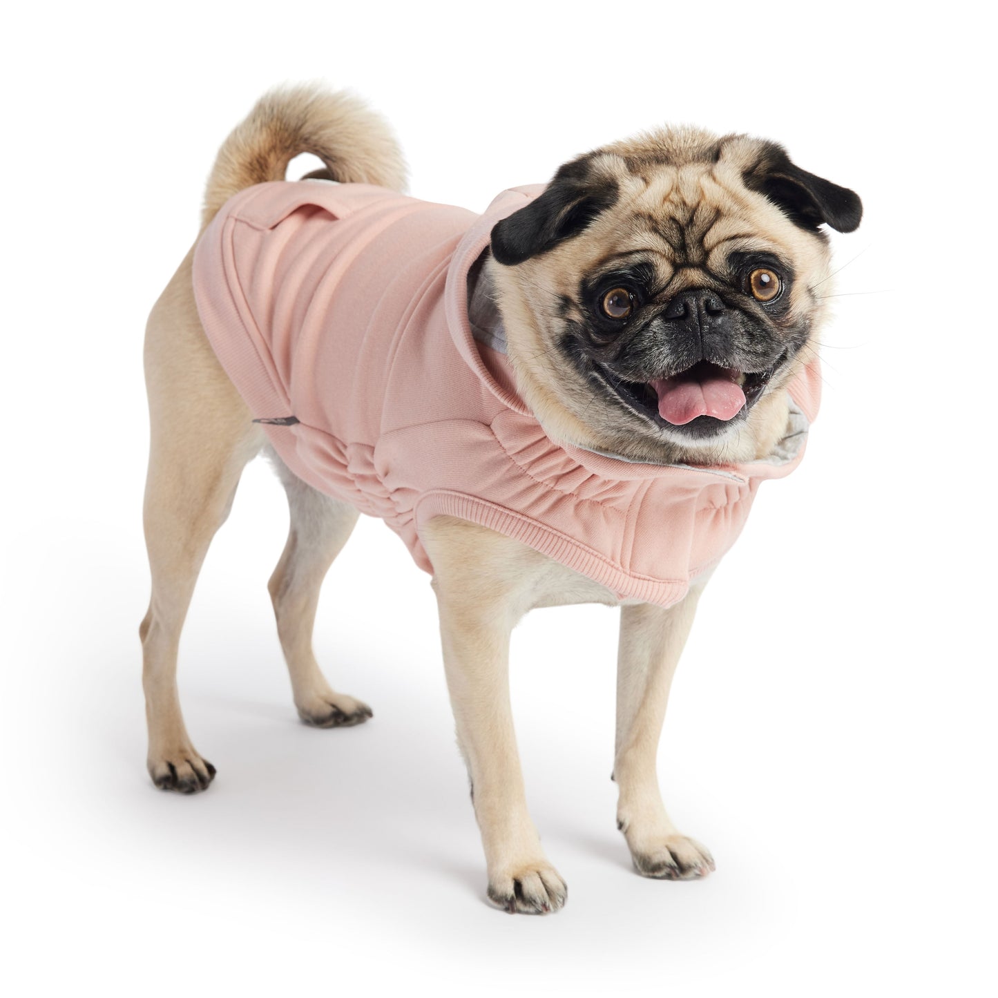Urban Hoodie Pink Dog Apparel Premium Pet Supply Premium - lifestyle view