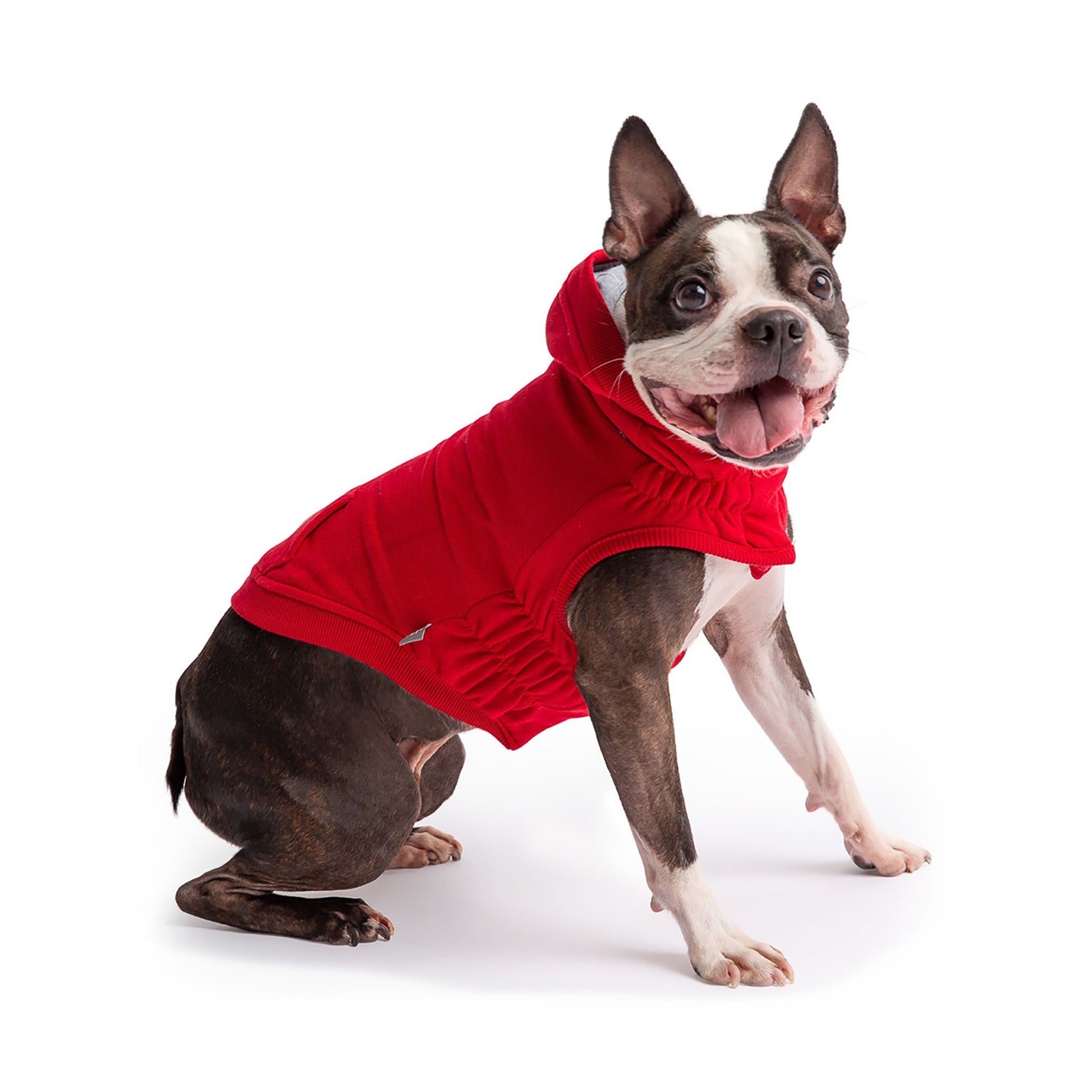 Urban Hoodie Red Dog Hoodies Premium Pet Supply Premium - lifestyle view