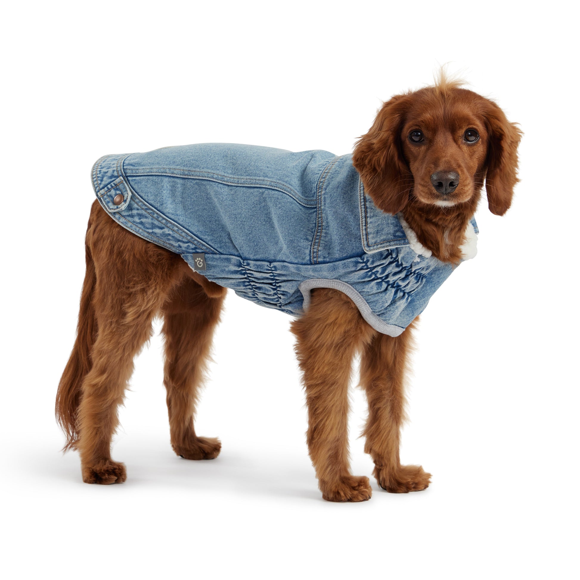 Denim Jacket Light Wash Dog Apparel Premium Pet Supply - detail view