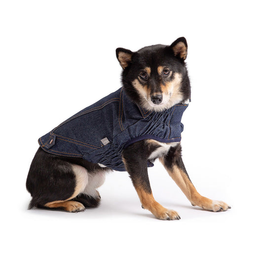 Dog Apparel Outdoor Comfort Adjustable Denim Blue Everyday - detail view