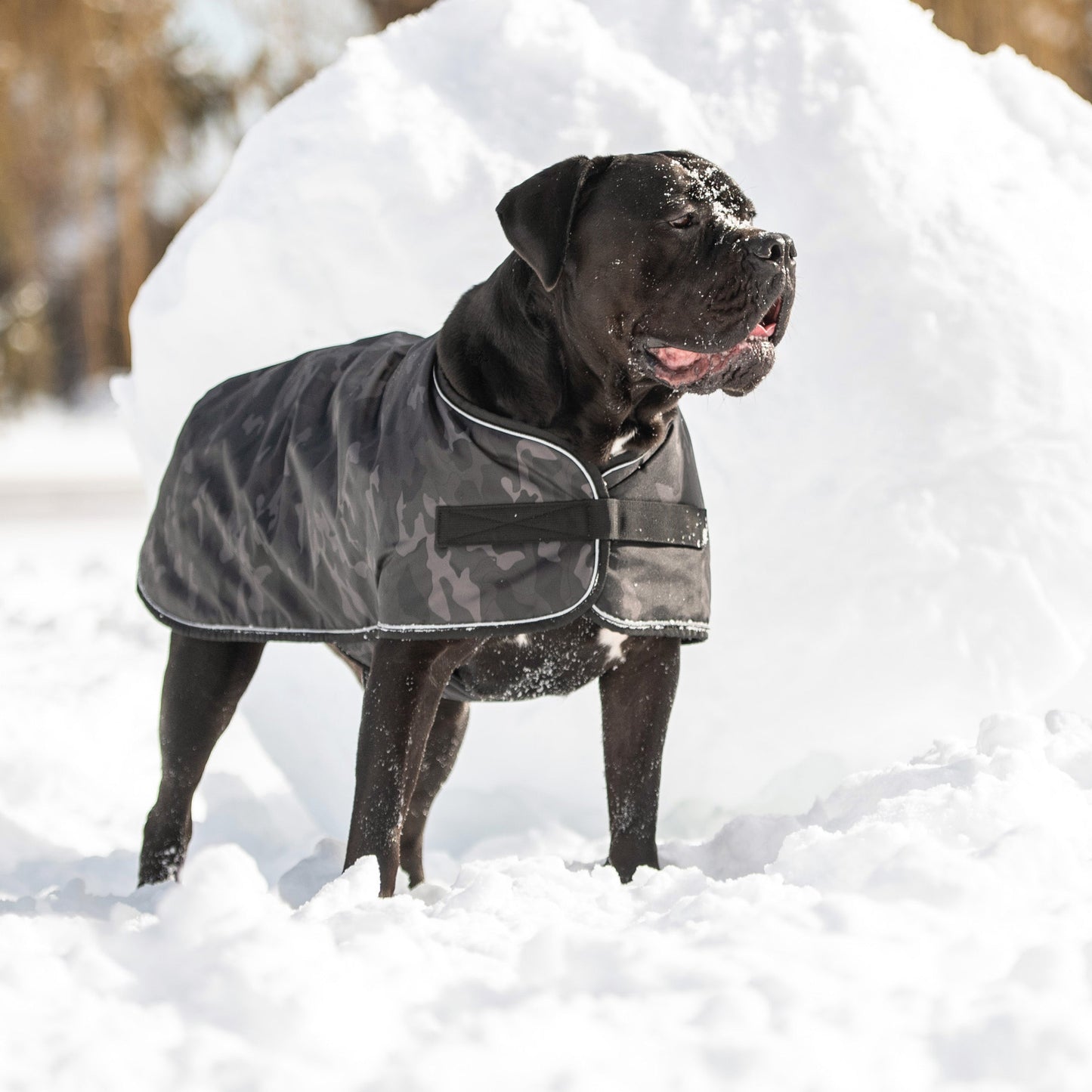 Blanket Jacket Camo Dog Jackets Premium Pet Supply Premium - gallery image 7
