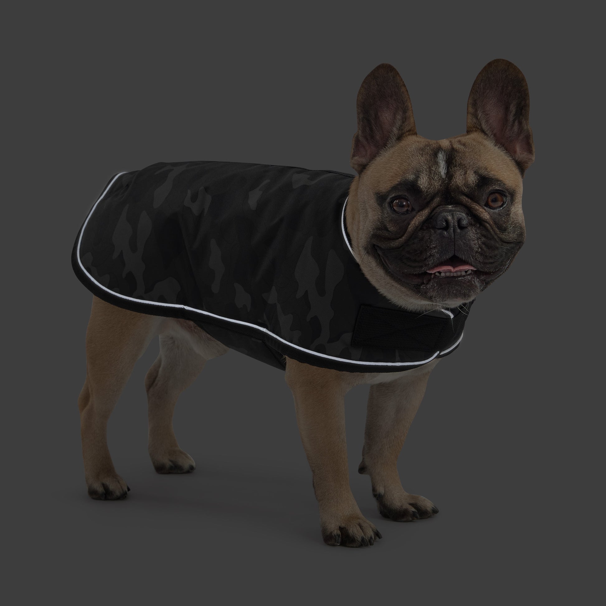 Blanket Jacket Camo Dog Jackets Premium Pet Supply Premium - close up view