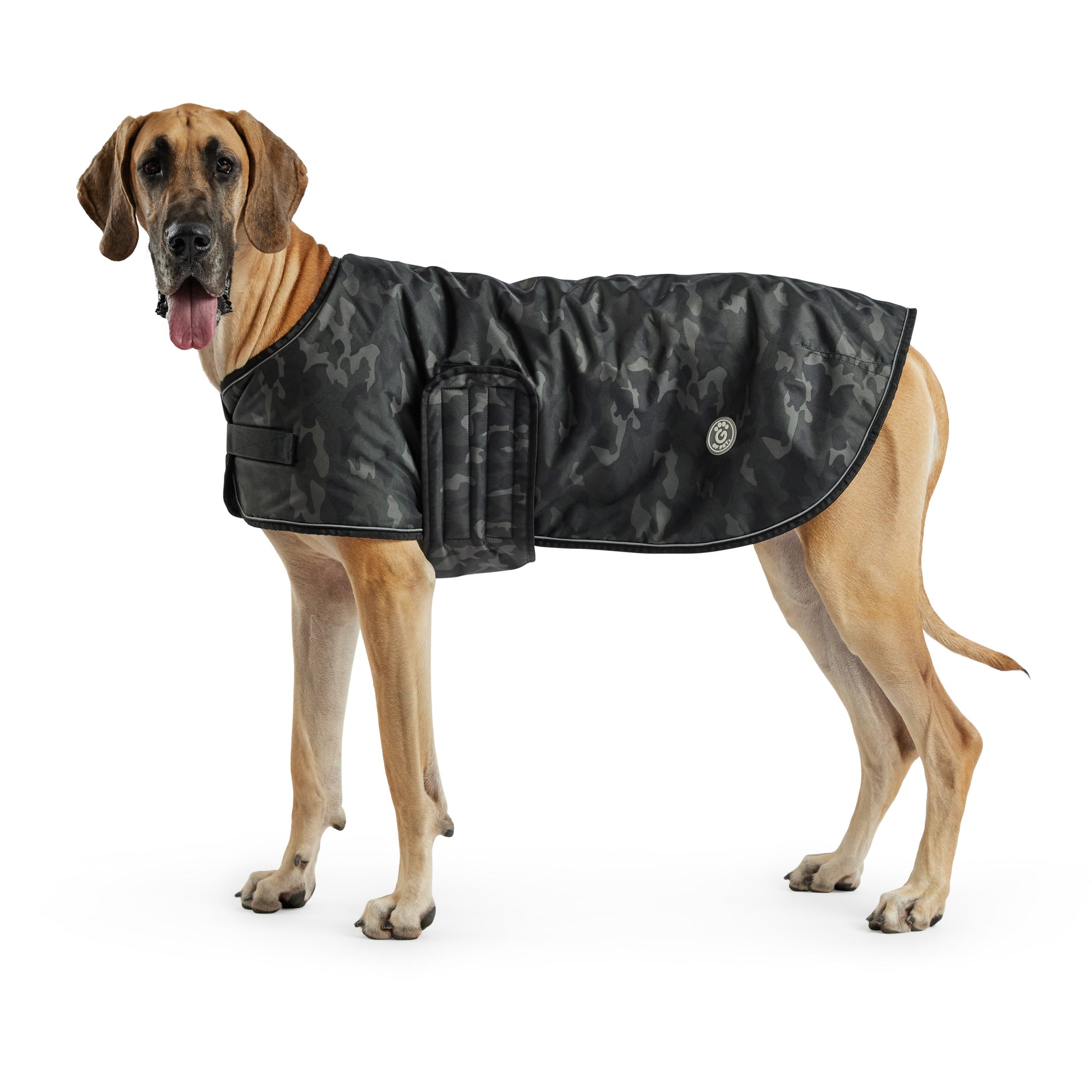 Blanket Jacket Camo Dog Jackets Premium Pet Supply Premium - lifestyle view