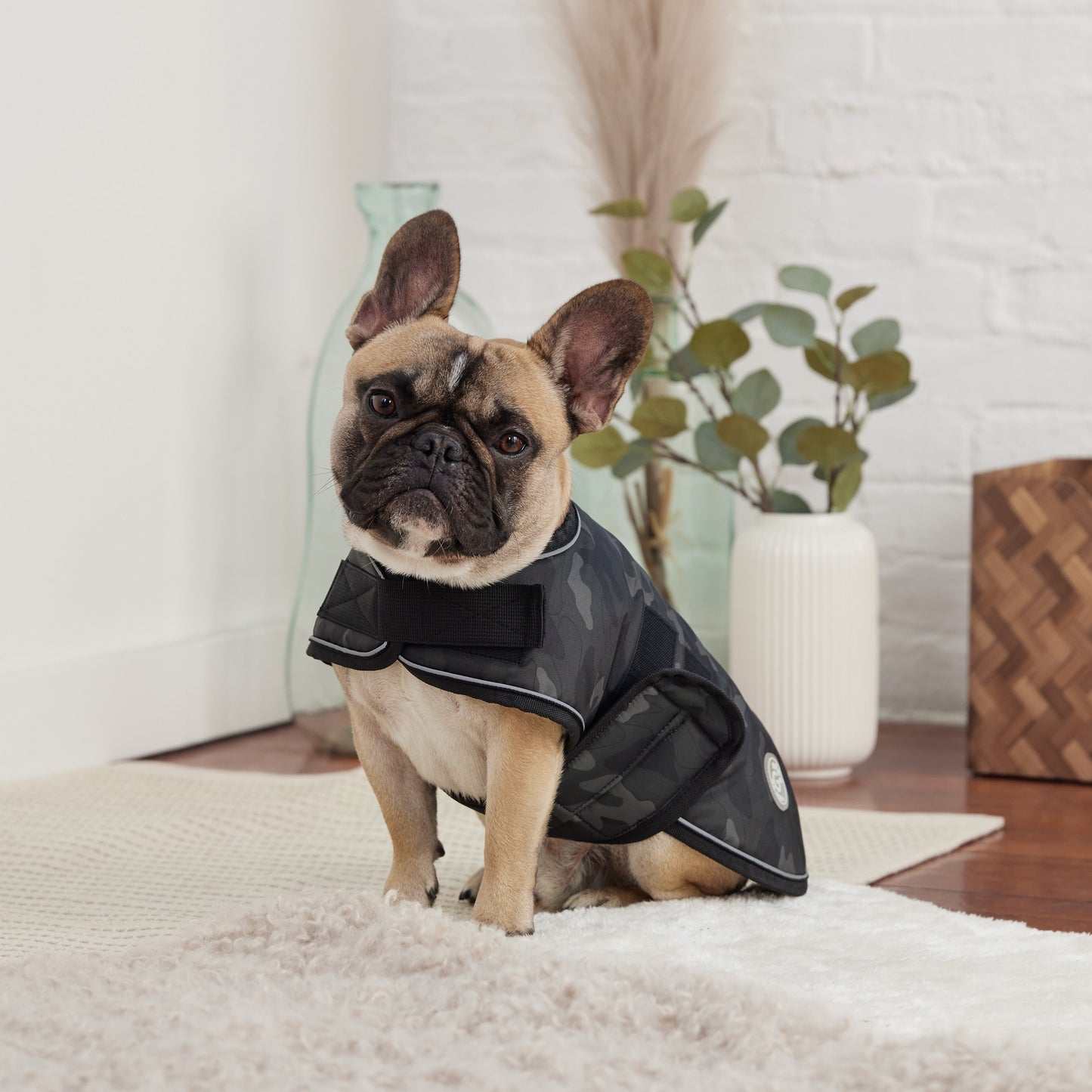 Blanket Jacket Camo Dog Jackets Premium Pet Supply Premium - gallery image 5