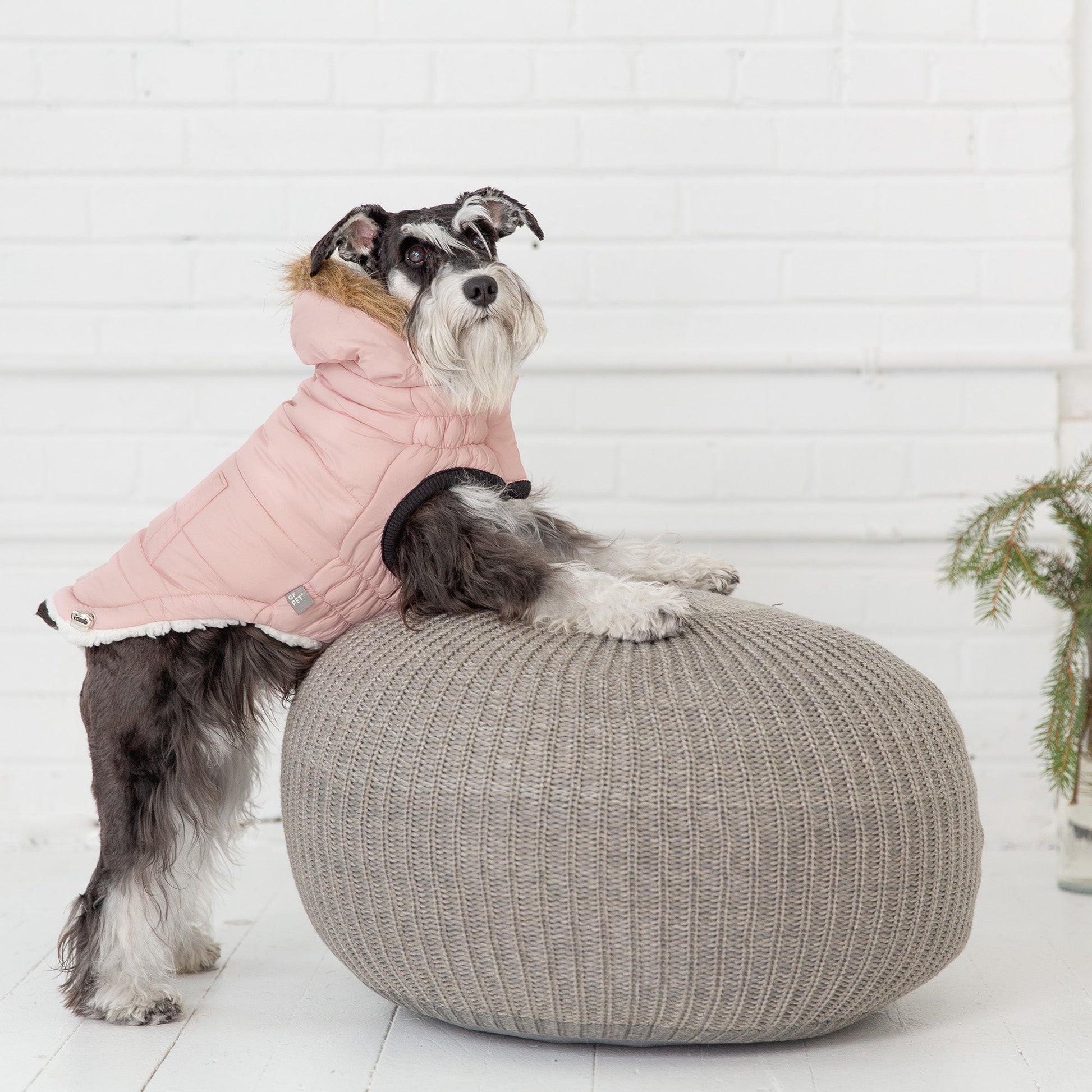 Urban Parka Pink Dog Jackets Premium Pet Supply Premium - close up view