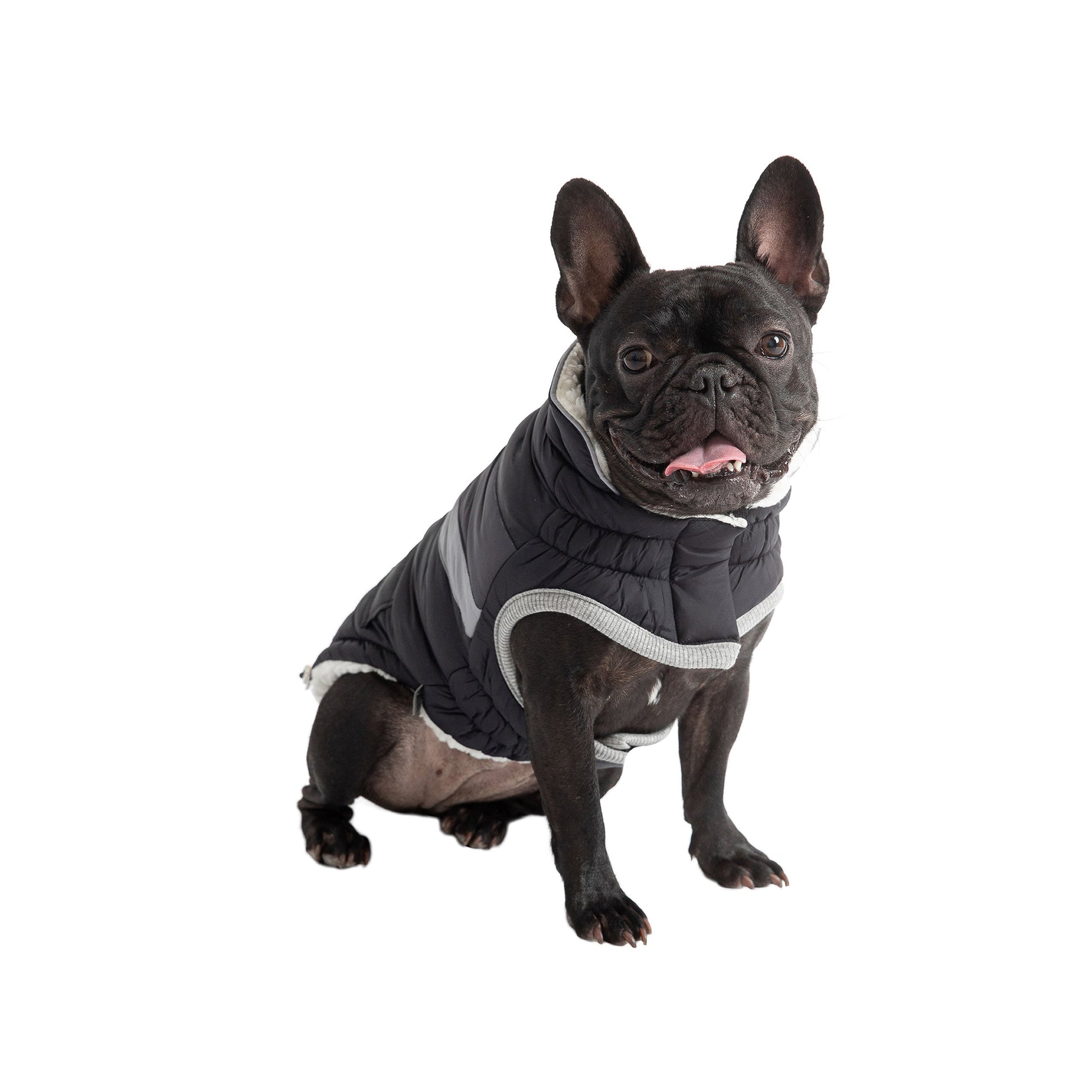 Alpine Puffer - Black - detail view | Dog Jackets at Purrfect Pet Kingdom for Dogs and Cats