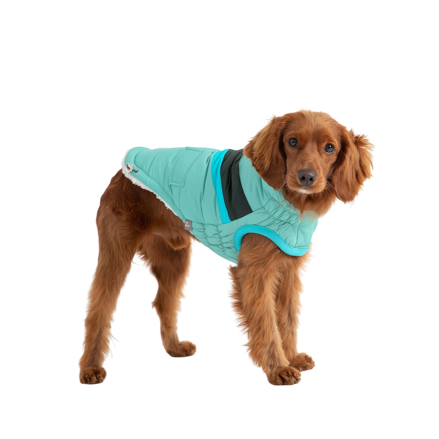 Alpine Puffer - Light Aqua - detail view | Pet Supplies at Purrfect Pet Kingdom for Dogs and Cats