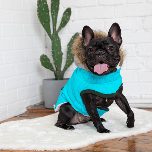 Winter Sailor Parka Aqua Dog Apparel Premium Pet Supply - detail view