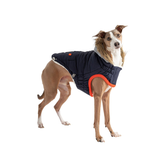 Winter Sailor Parka Navy Dog Jackets Premium Pet Supply - detail view