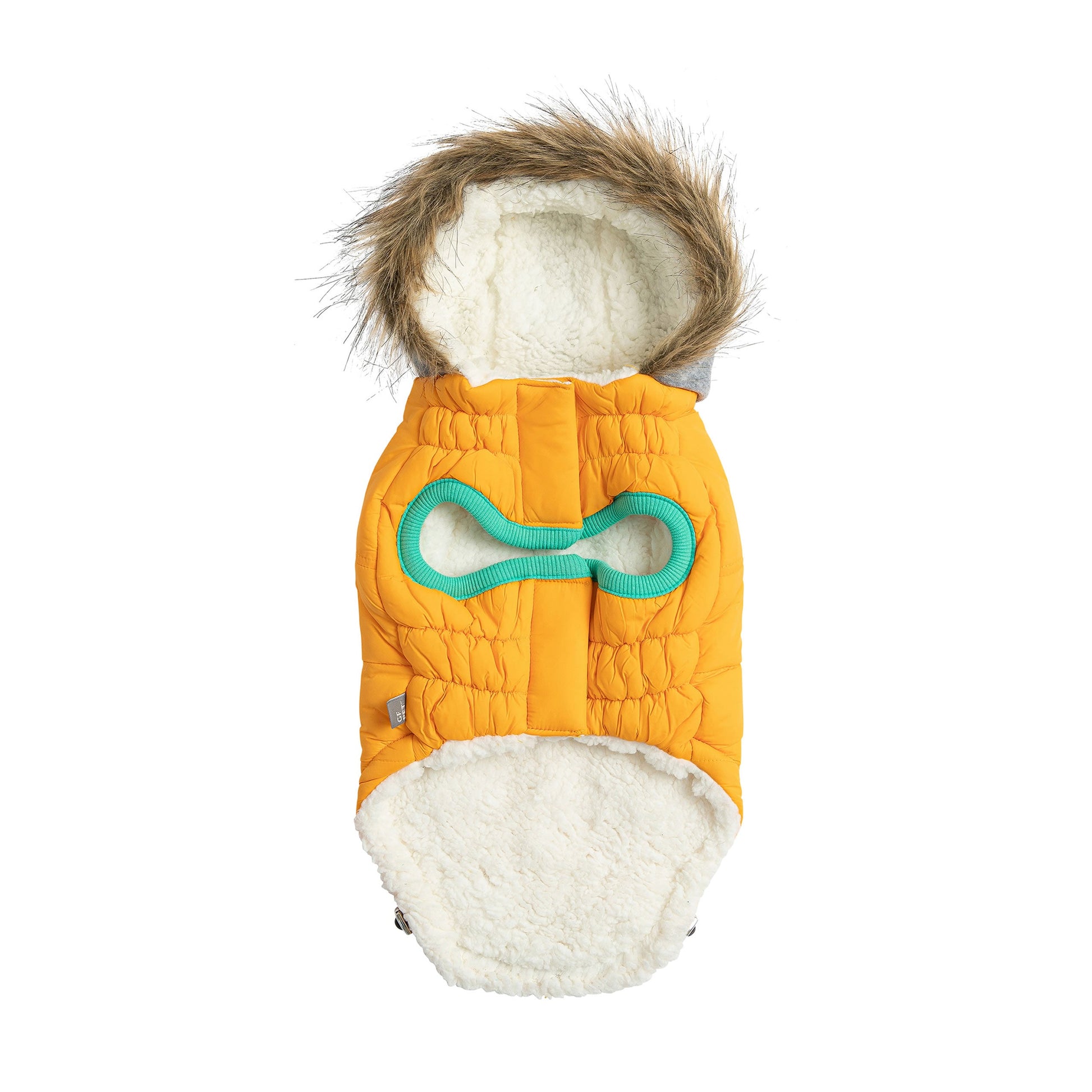 Winter Sailor Parka Yellow Dog Apparel Premium Pet Supply - lifestyle view
