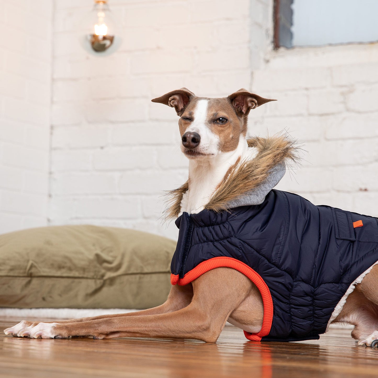 Winter Sailor Parka Navy Dog Jackets Premium Pet Supply - gallery image 5
