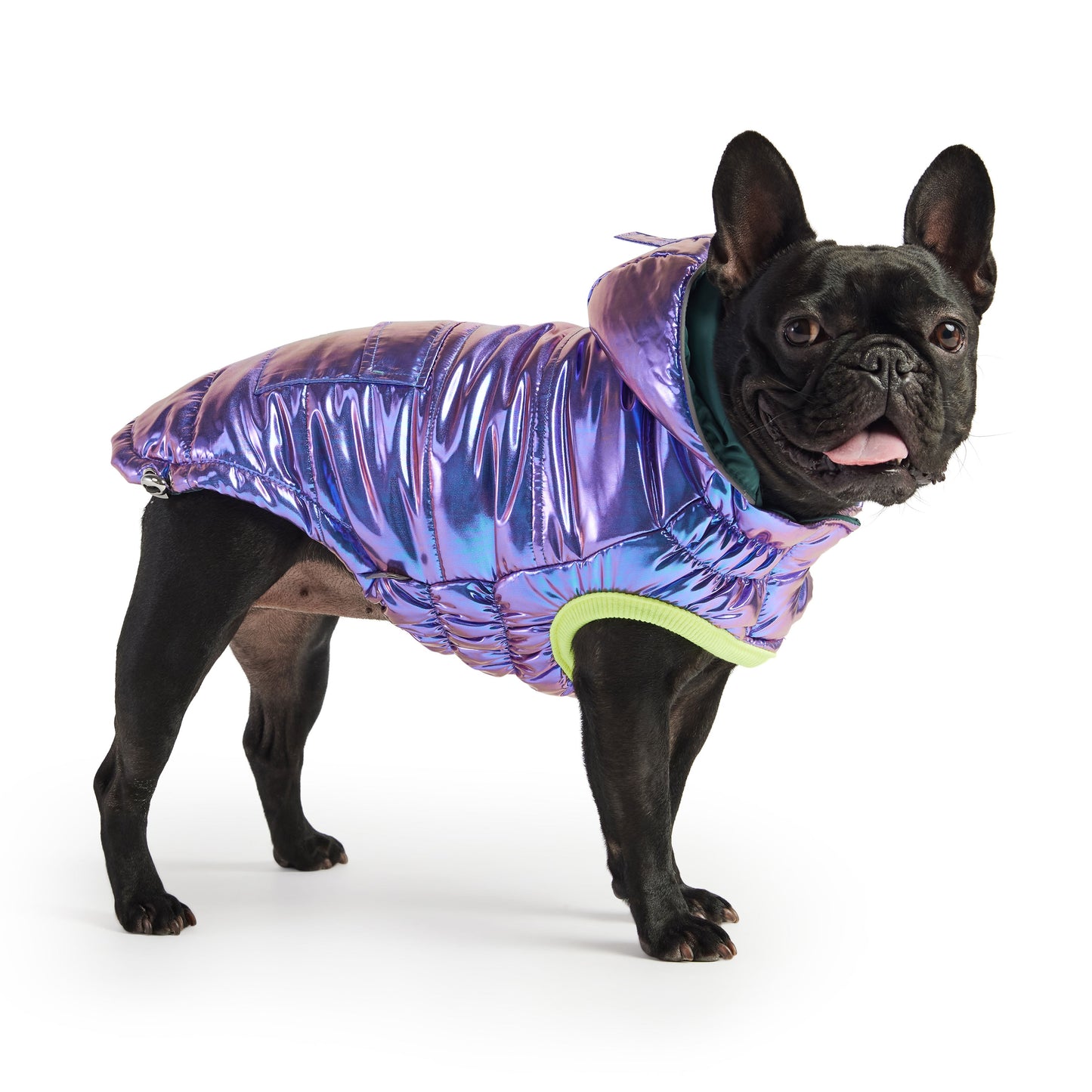 Recycled Parka Iridescent Dog Jackets Premium Pet Supply - detail view