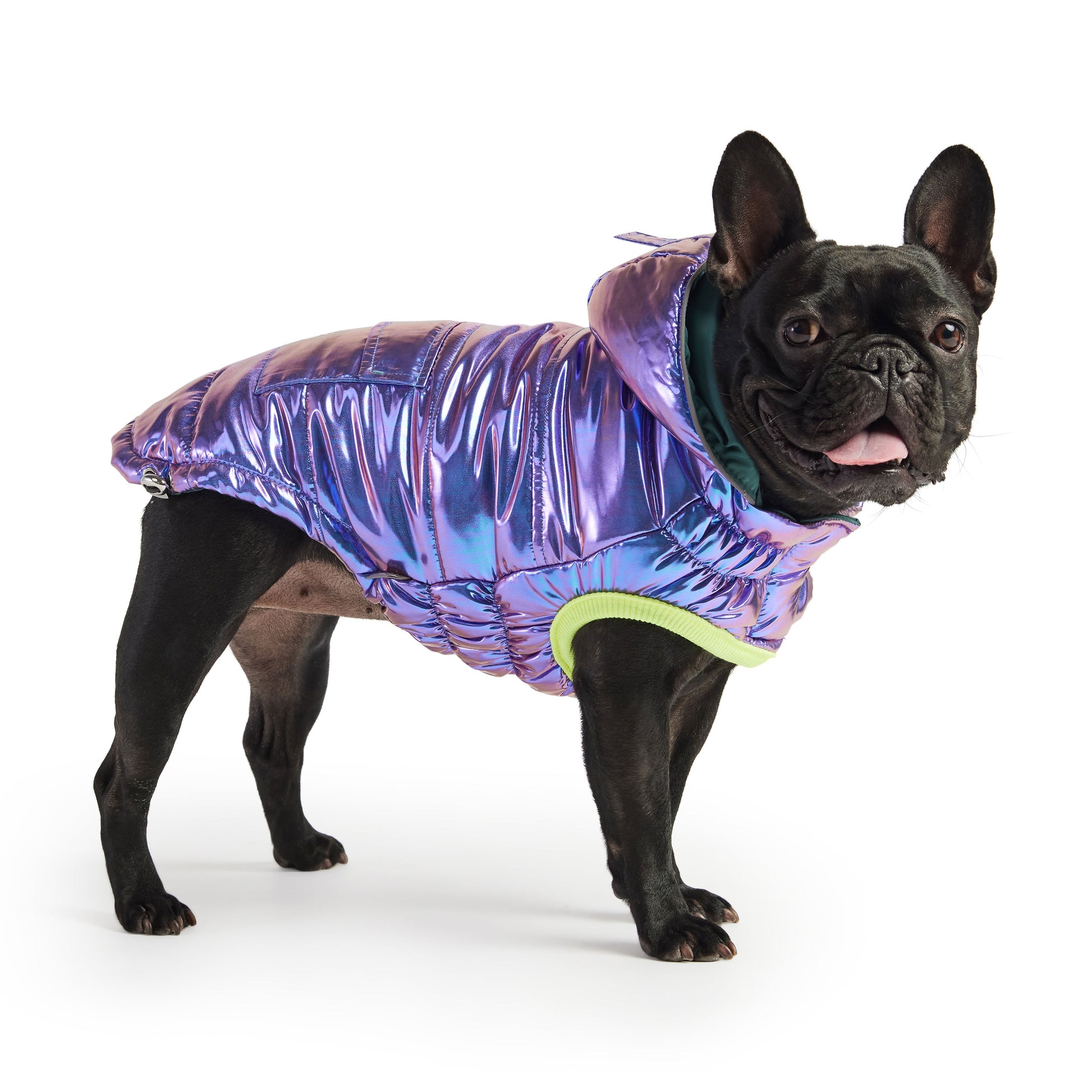 Recycled Parka Iridescent Dog Jackets Premium Pet Supply - detail view