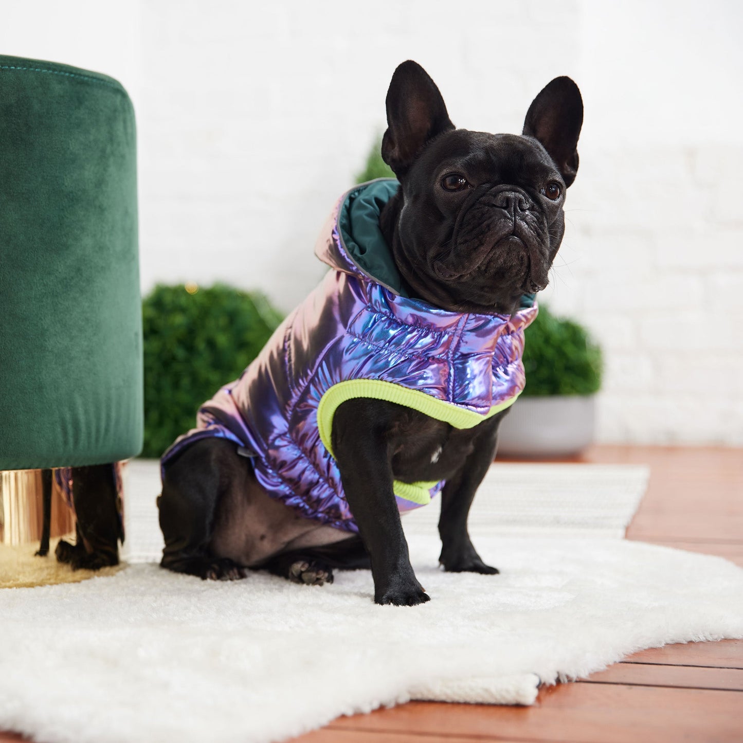 Recycled Parka Iridescent Dog Jackets Premium Pet Supply - gallery image 6