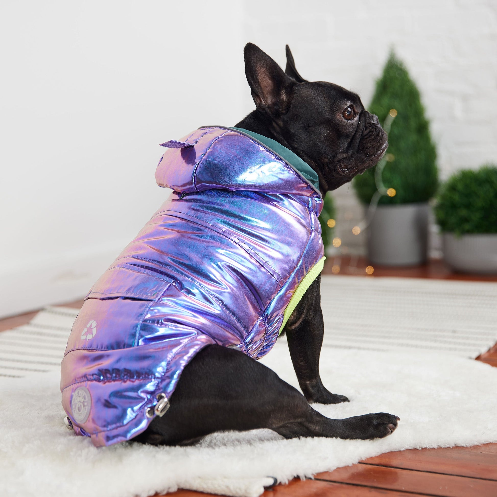 Recycled Parka Iridescent Dog Jackets Premium Pet Supply - close up view