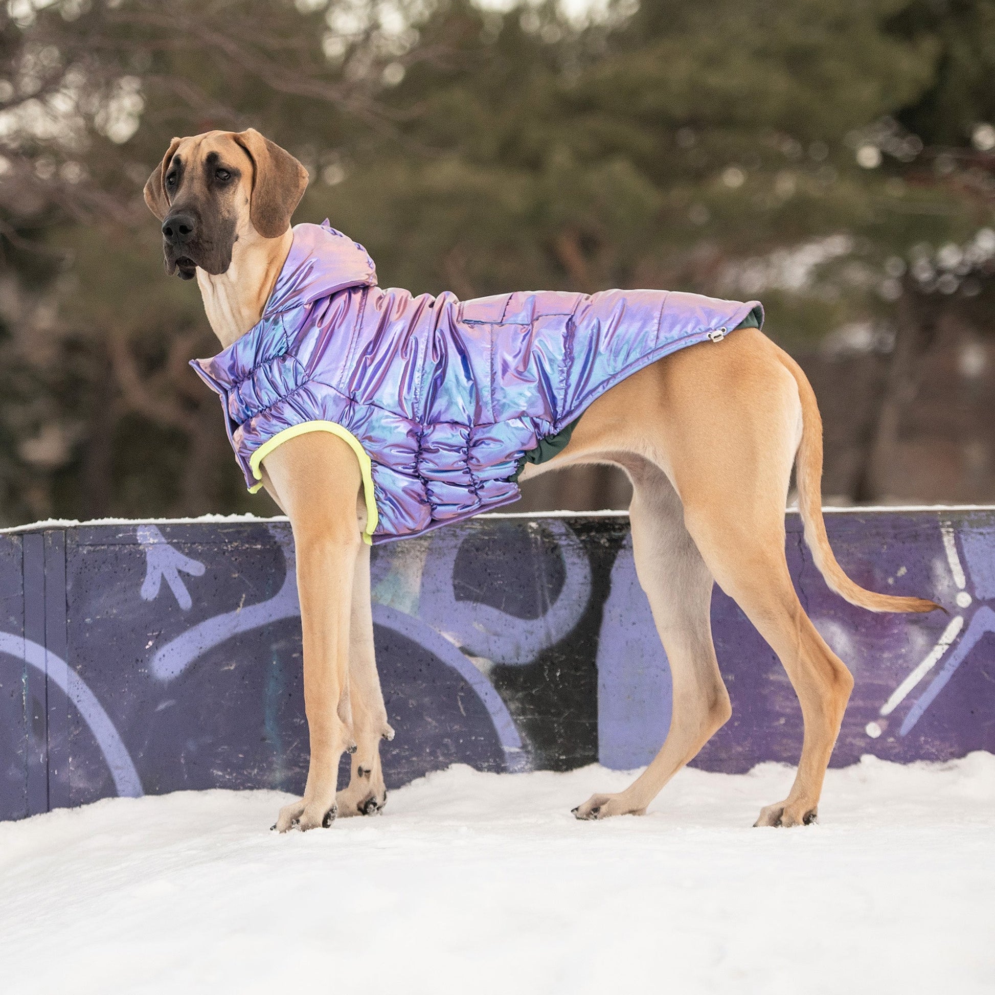 Recycled Parka Iridescent Dog Jackets Premium Pet Supply - gallery image 5
