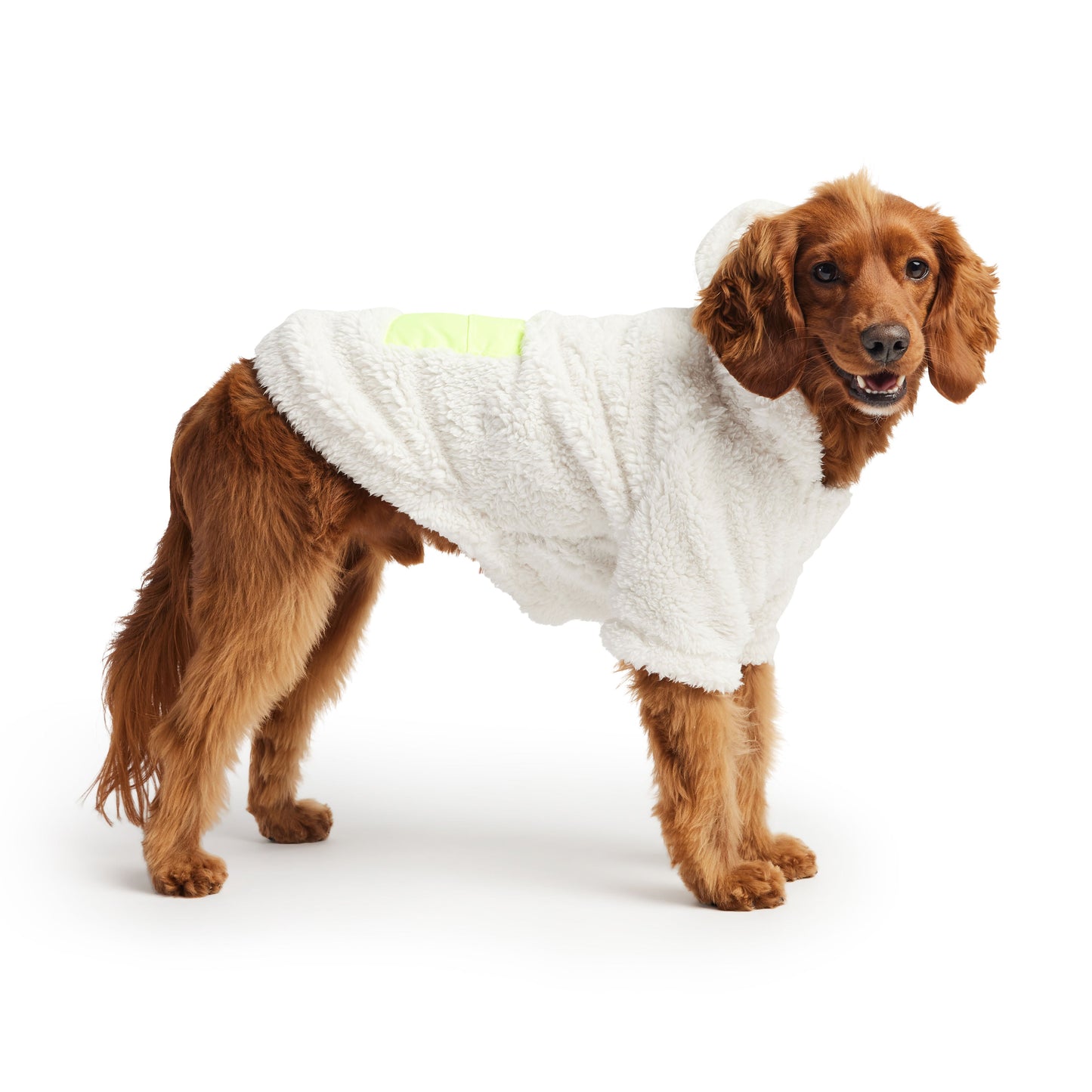 Dog Apparel Outdoor Comfort Adjustable White Everyday Wear - detail view