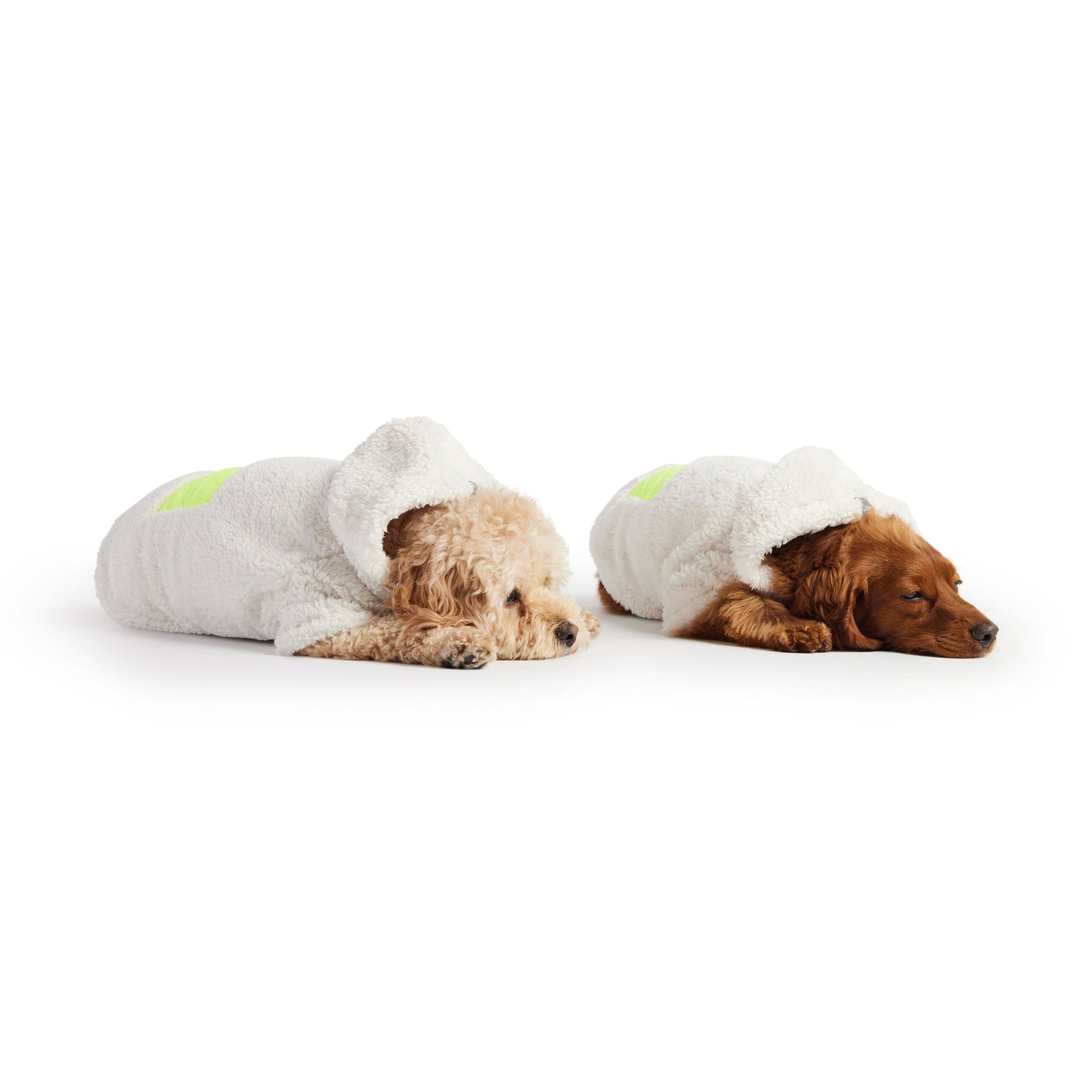 Dog Apparel Outdoor Comfort Adjustable White Everyday Wear - close up view