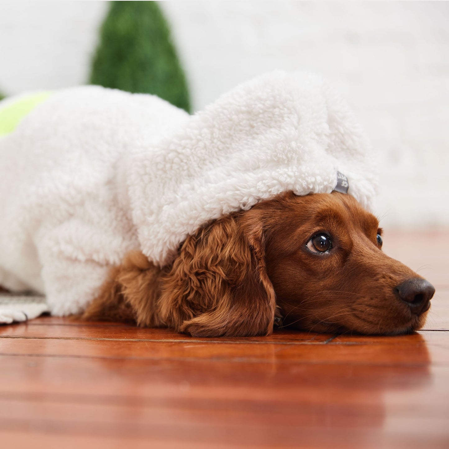 Dog Apparel Outdoor Comfort Adjustable White Everyday Wear - gallery image 5