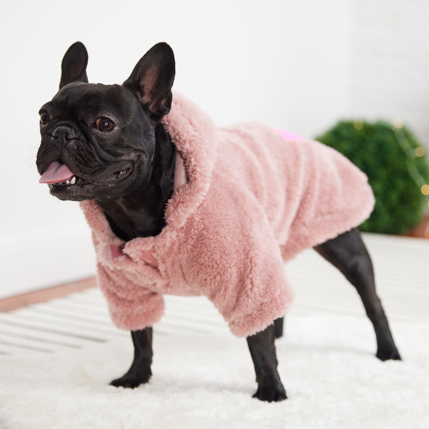 Cozy Hoodie Pink Dog Apparel Premium Pet Supply Premium - close up view