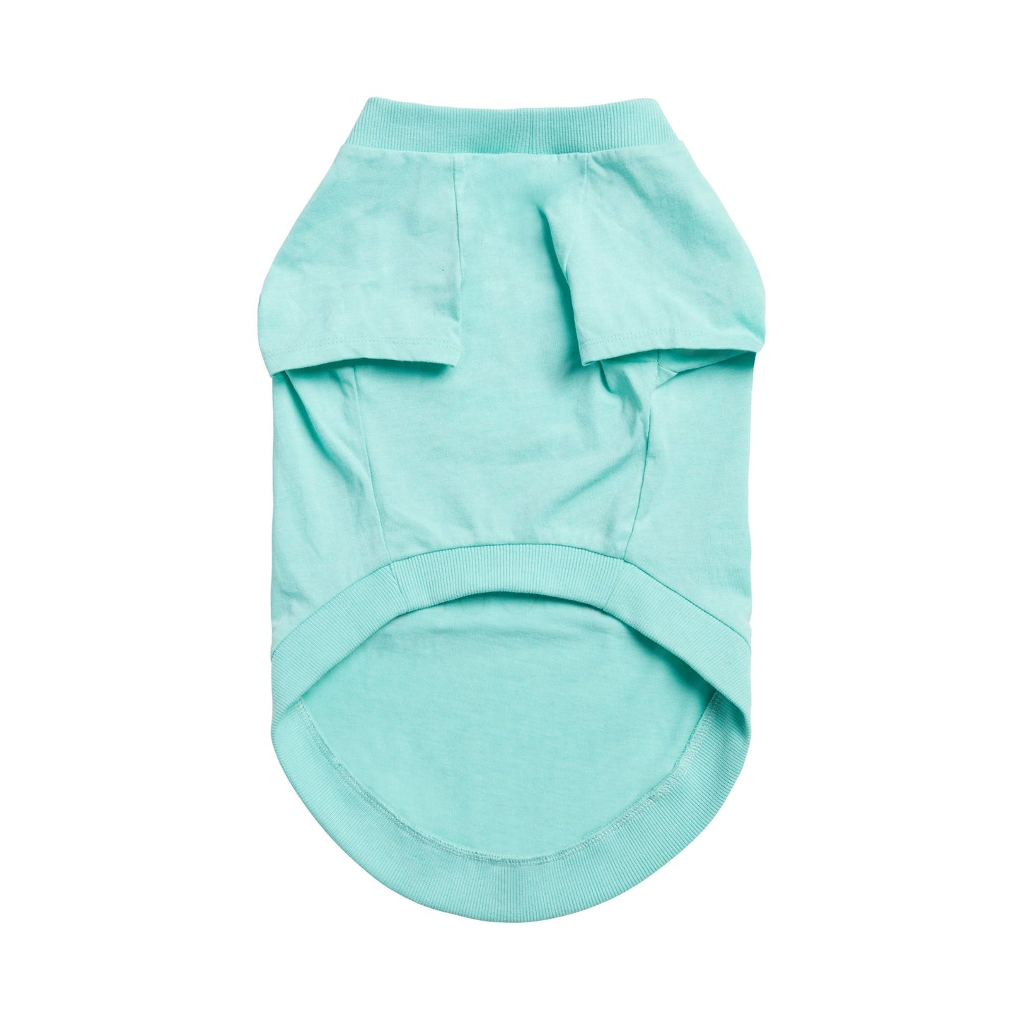 Graphic Tee Aqua Dog Shirts Premium Pet Supply Premium - lifestyle view
