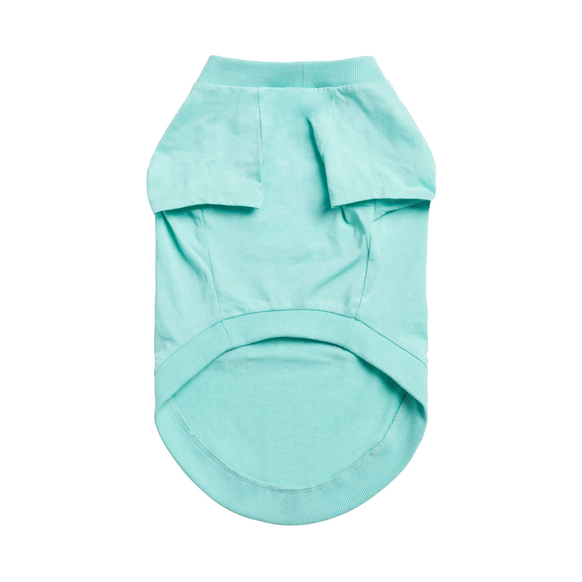 Graphic Tee Aqua Dog Shirts Premium Pet Supply Premium - lifestyle view