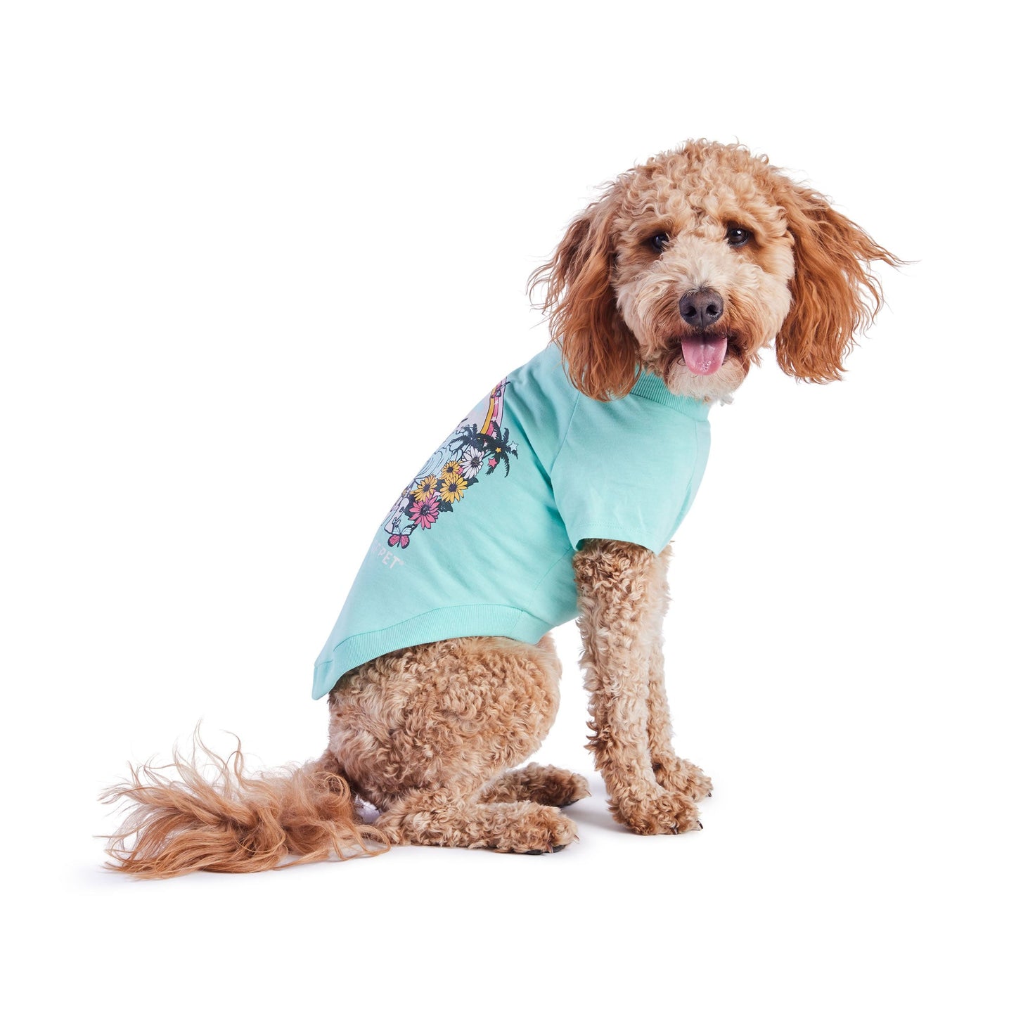 Graphic Tee Aqua Dog Shirts Premium Pet Supply Premium - close up view