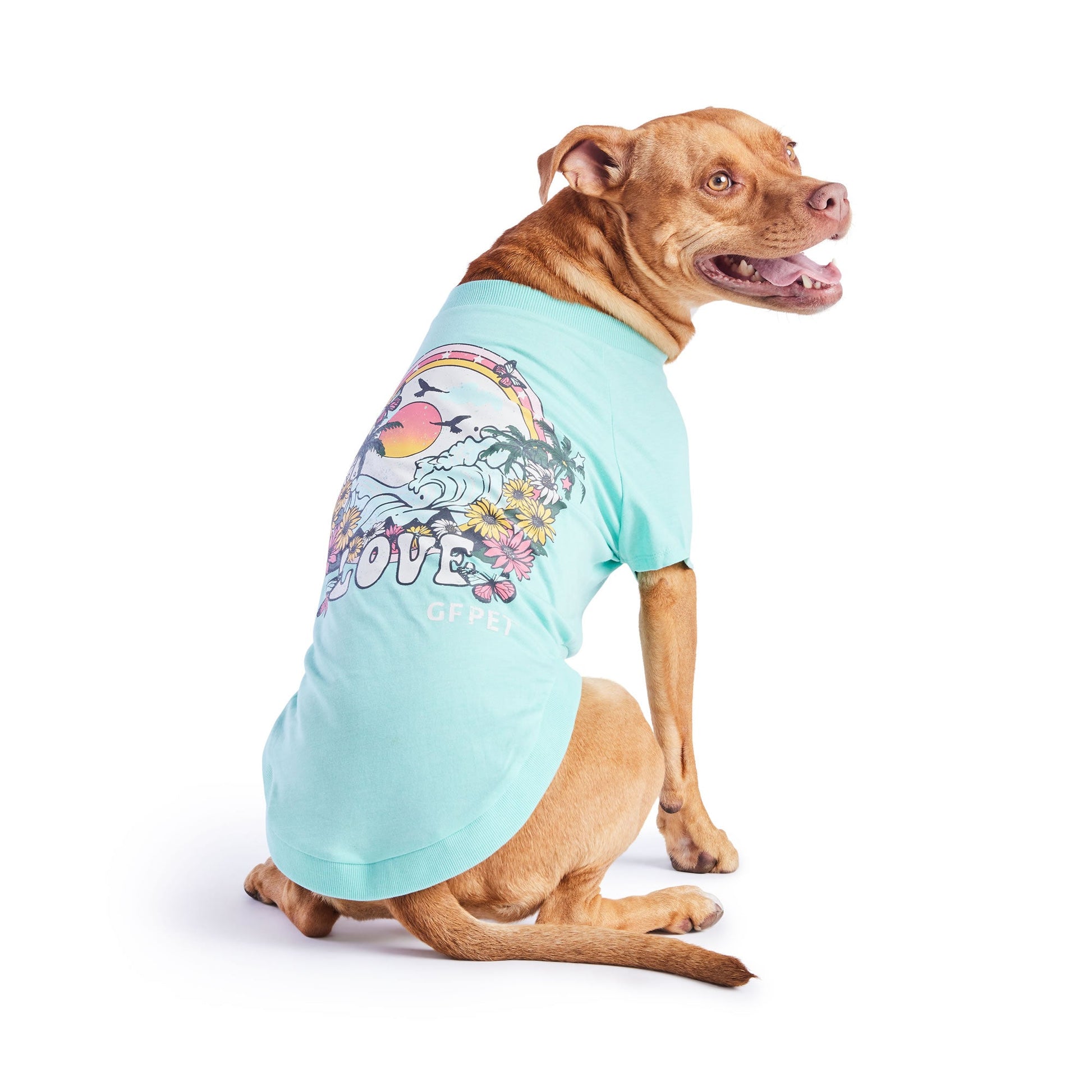 Graphic Tee Aqua Dog Shirts Premium Pet Supply Premium - detail view