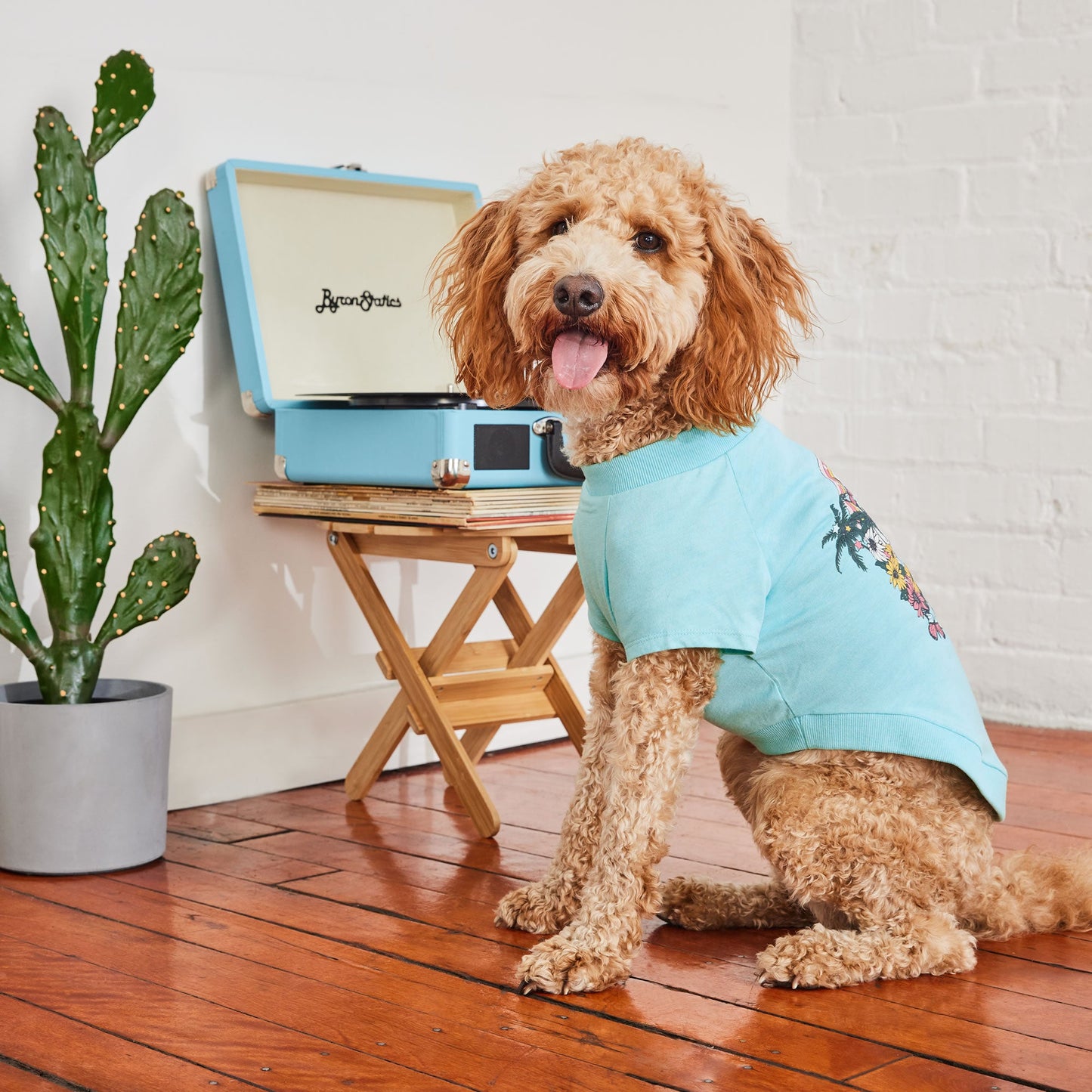 Graphic Tee Aqua Dog Shirts Premium Pet Supply Premium - gallery image 6