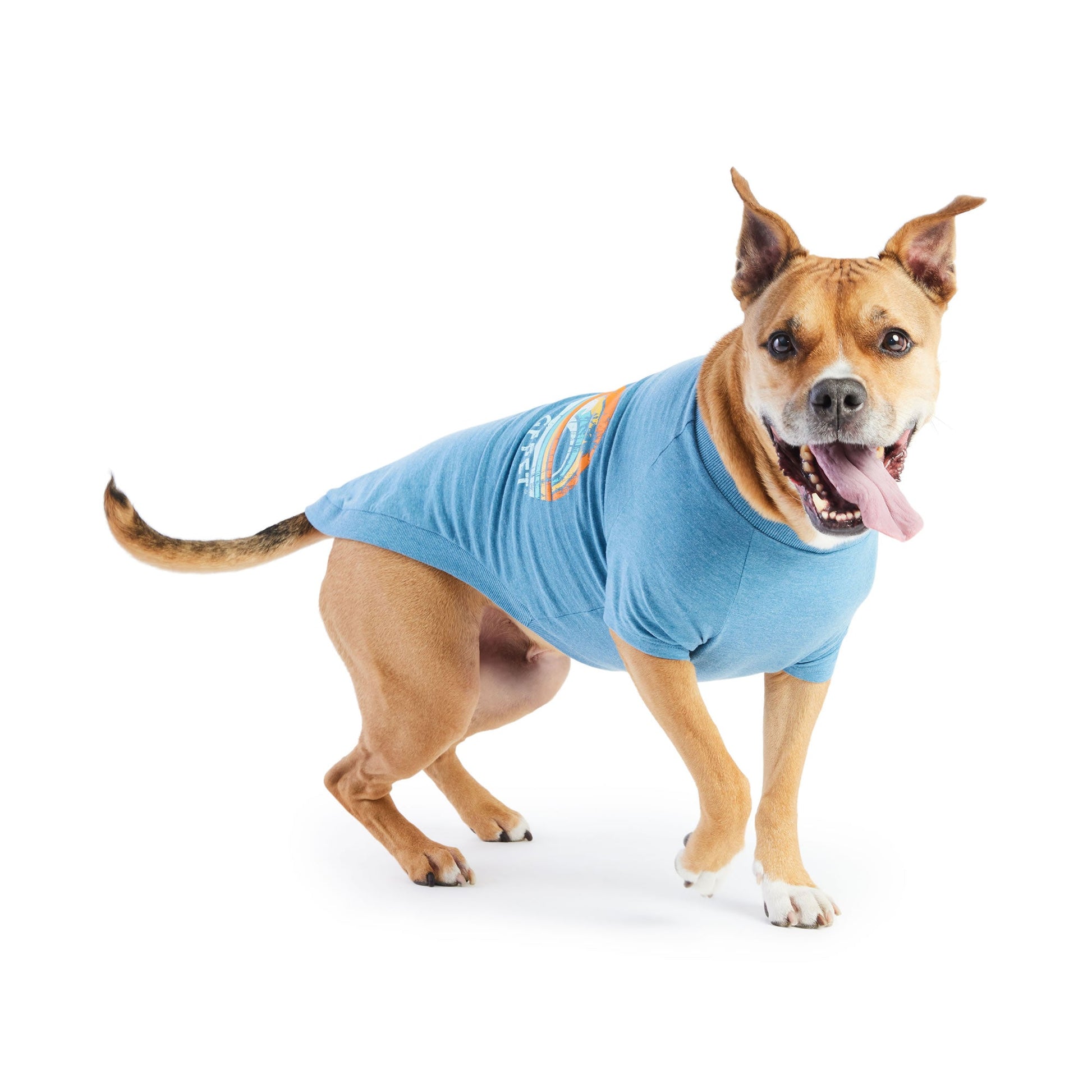 Graphic Tee Blue Dog Shirts Premium Pet Supply Premium - detail view