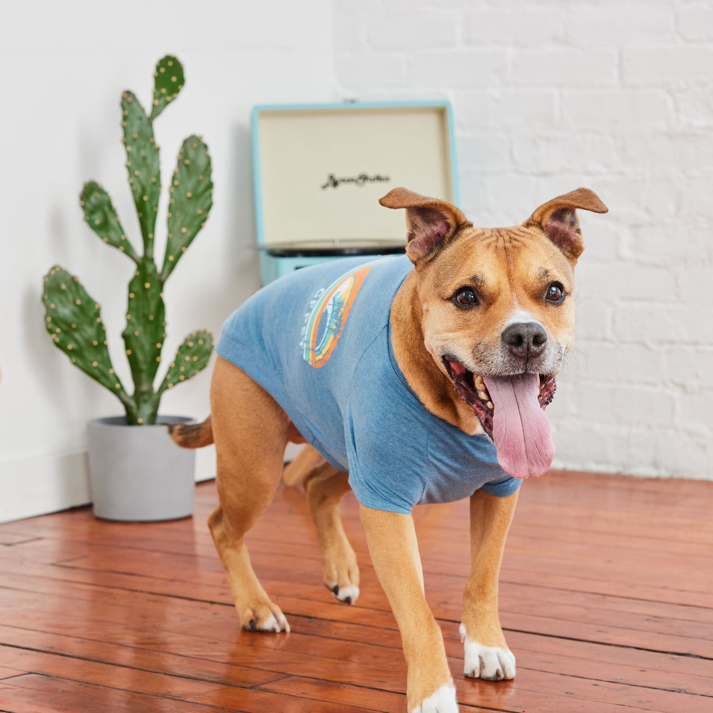 Graphic Tee Blue Dog Shirts Premium Pet Supply Premium - gallery image 6