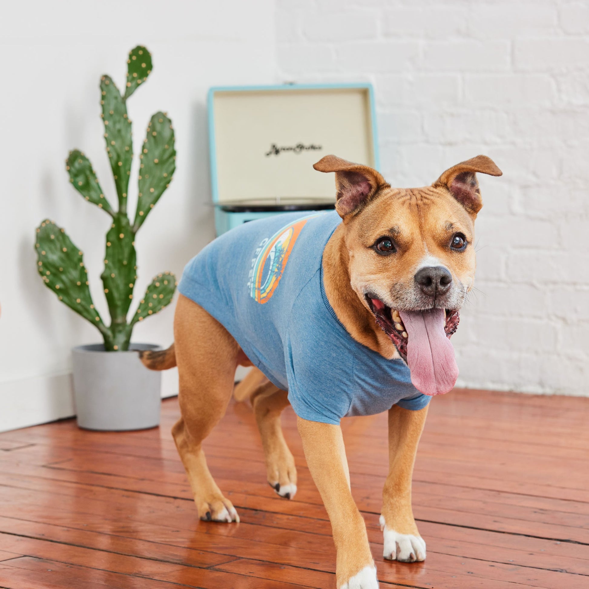 Graphic Tee Blue Dog Shirts Premium Pet Supply Premium - gallery image 6