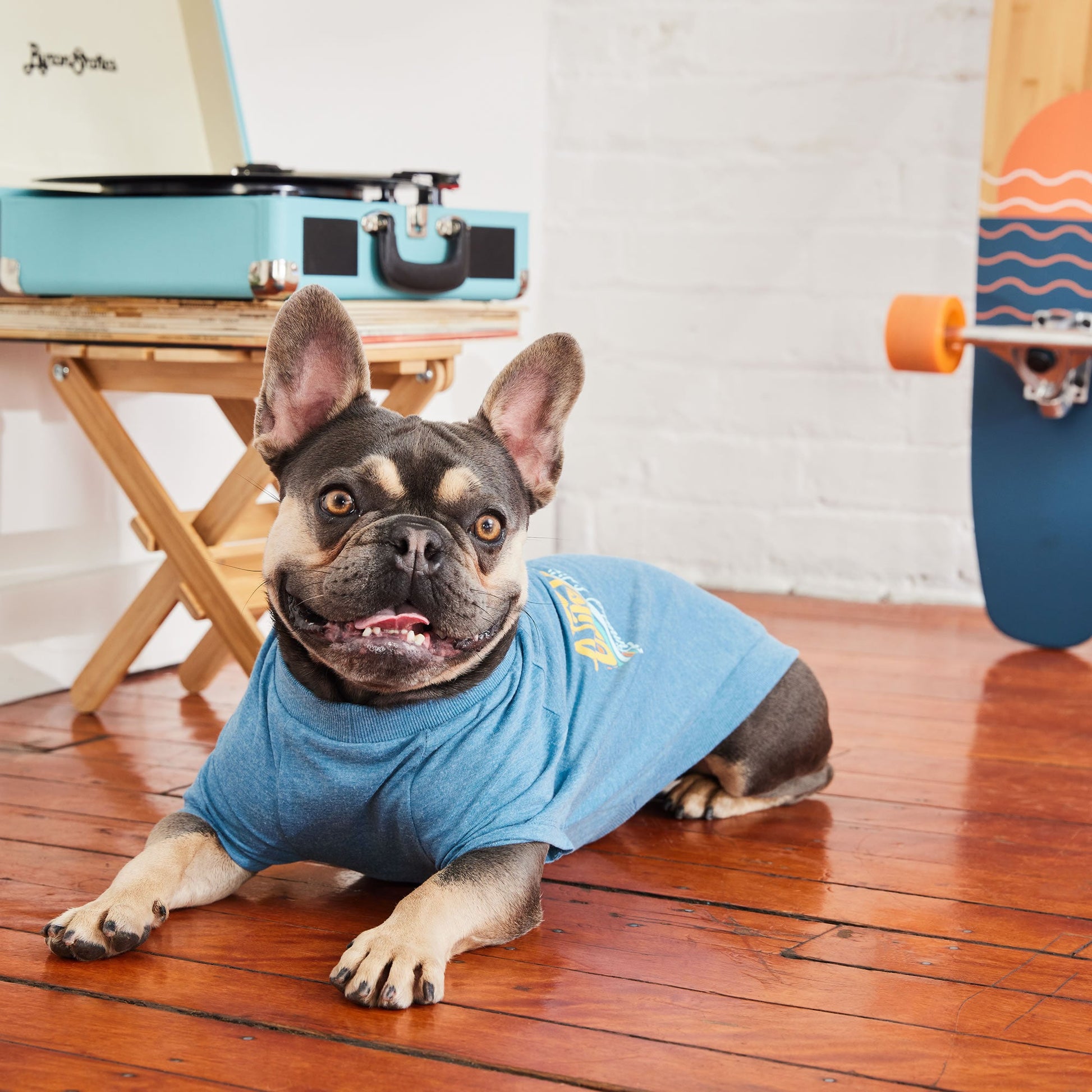Graphic Tee Blue Dog Shirts Premium Pet Supply Premium - gallery image 5