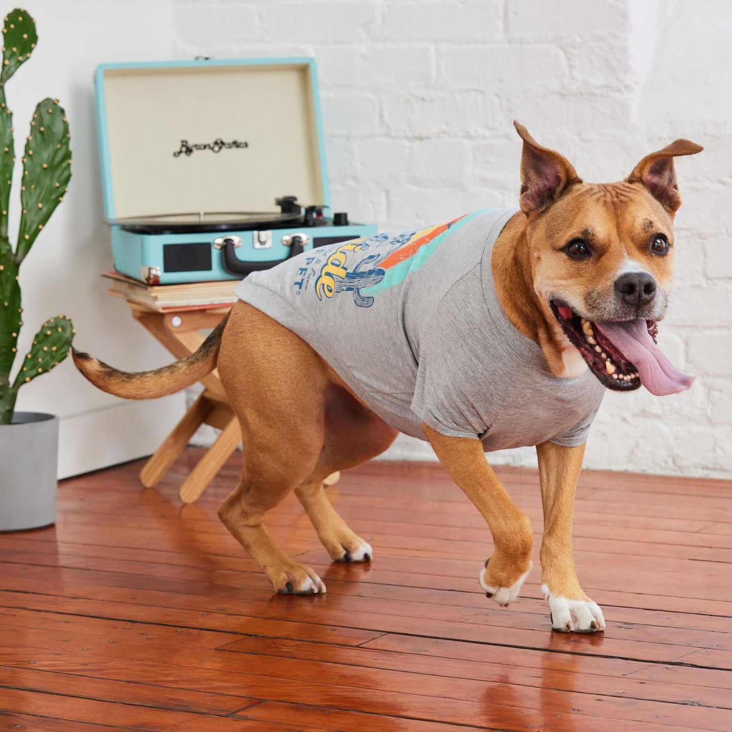 Graphic Tee Grey Dog Shirts Premium Pet Supply Premium - gallery image 5